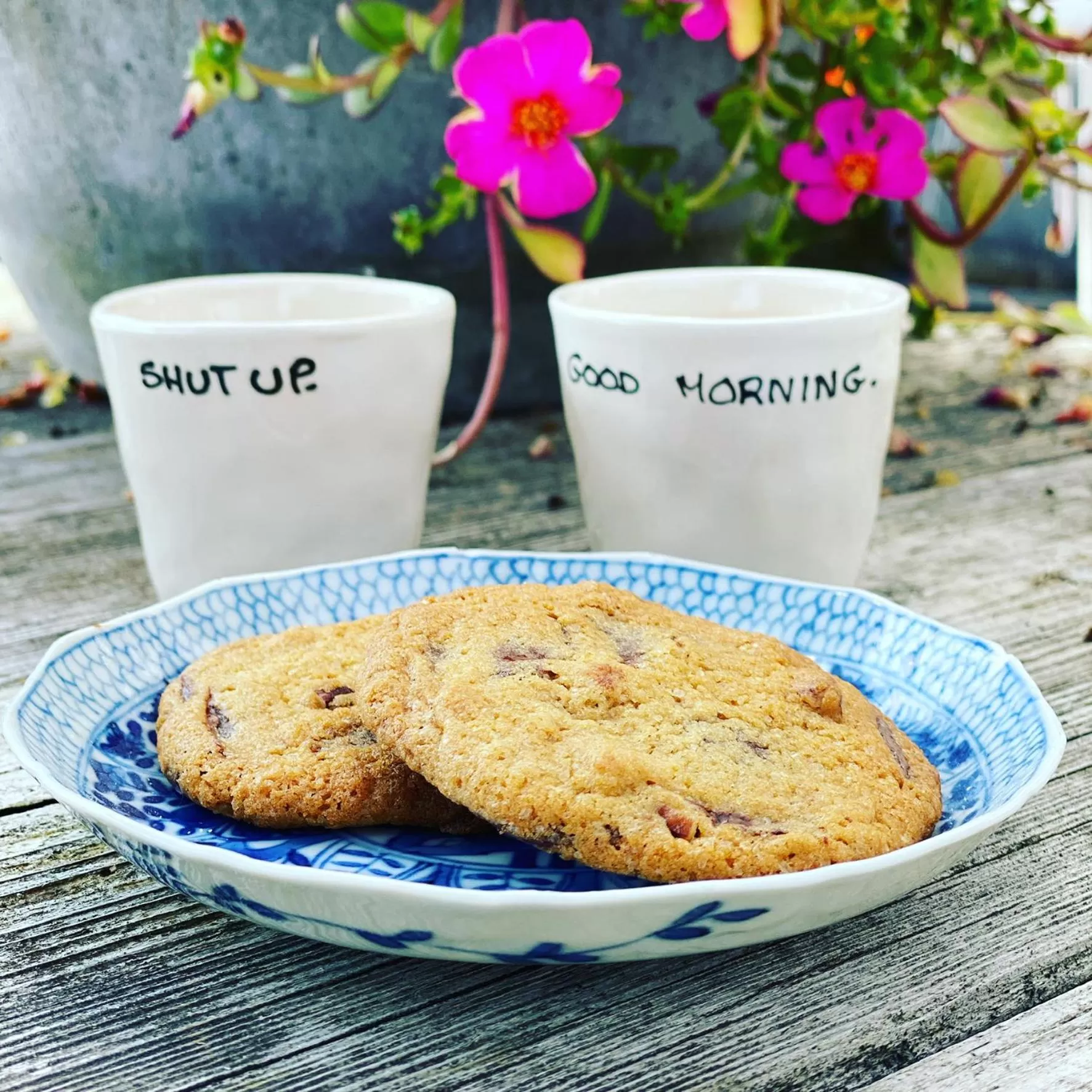 Romantic Wellness BnB Noordwijk