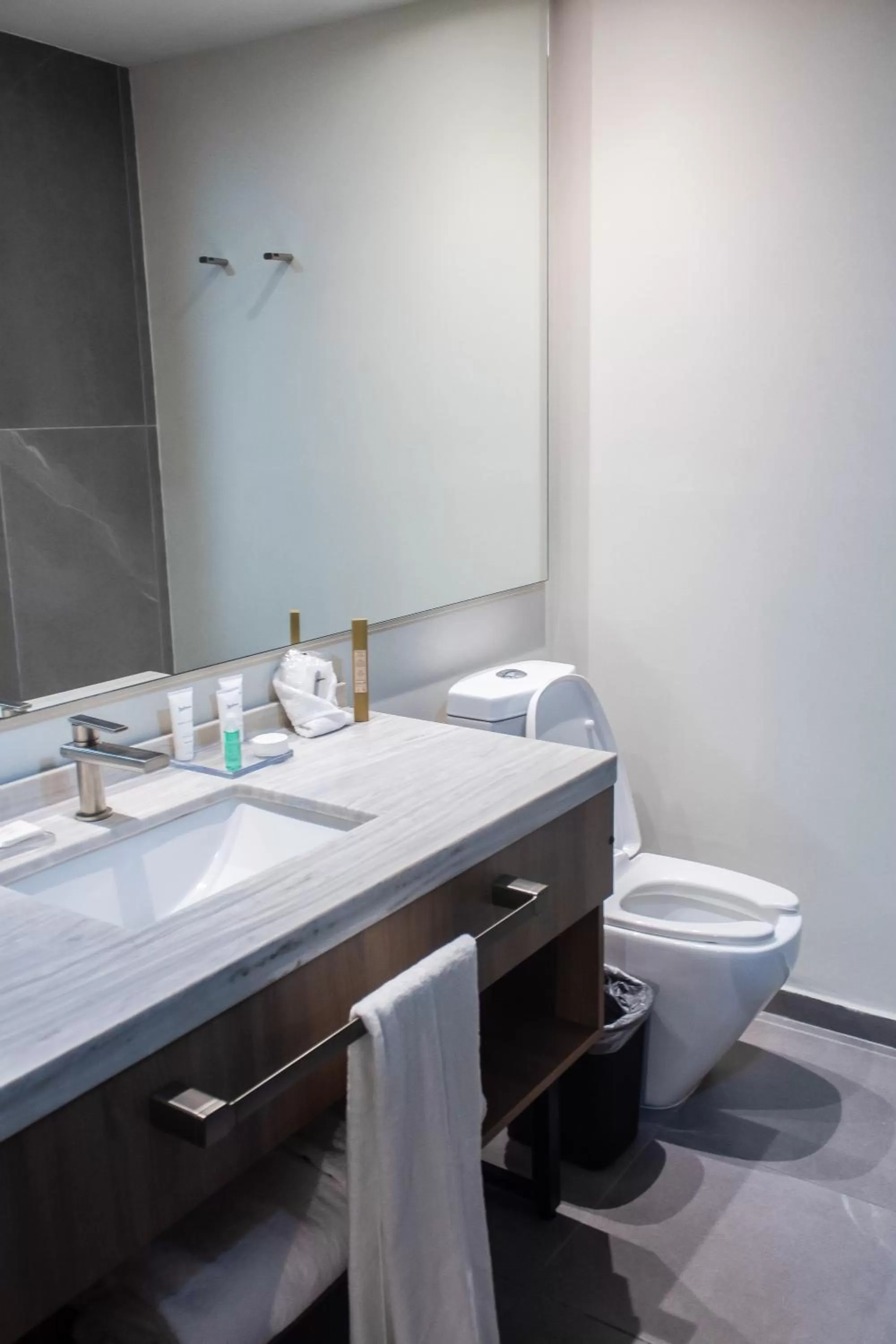 Bathroom in Radisson Hotel Monterrey San Jeronimo