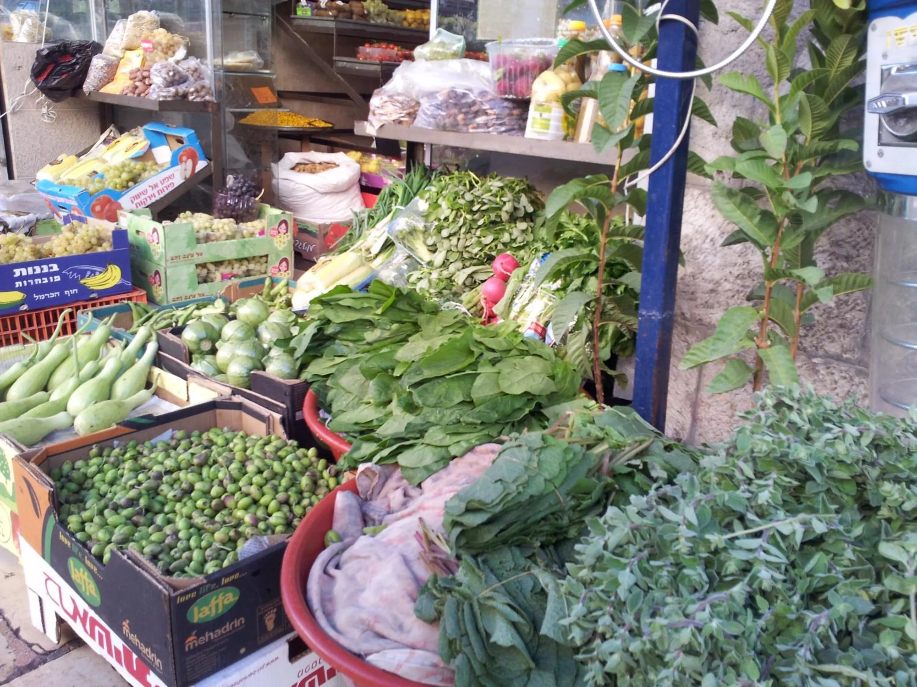 Food and drinks in Rivoli Hotel Jerusalem