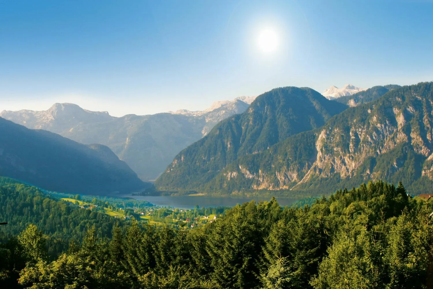 Area and facilities in Landhotel Agathawirt