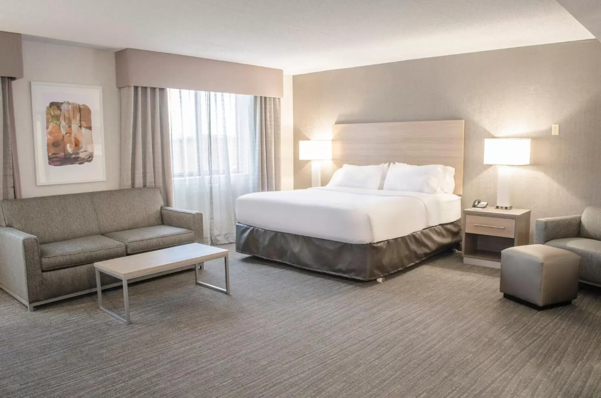 Deluxe King Room - Mobility Access Roll in Shower/Non-Smoking in Holiday Inn Fargo, an IHG Hotel Deluxe King Room - Mobility Access Roll in Shower/Non-Smoking in Holiday Inn Fargo, an IHG Hotel