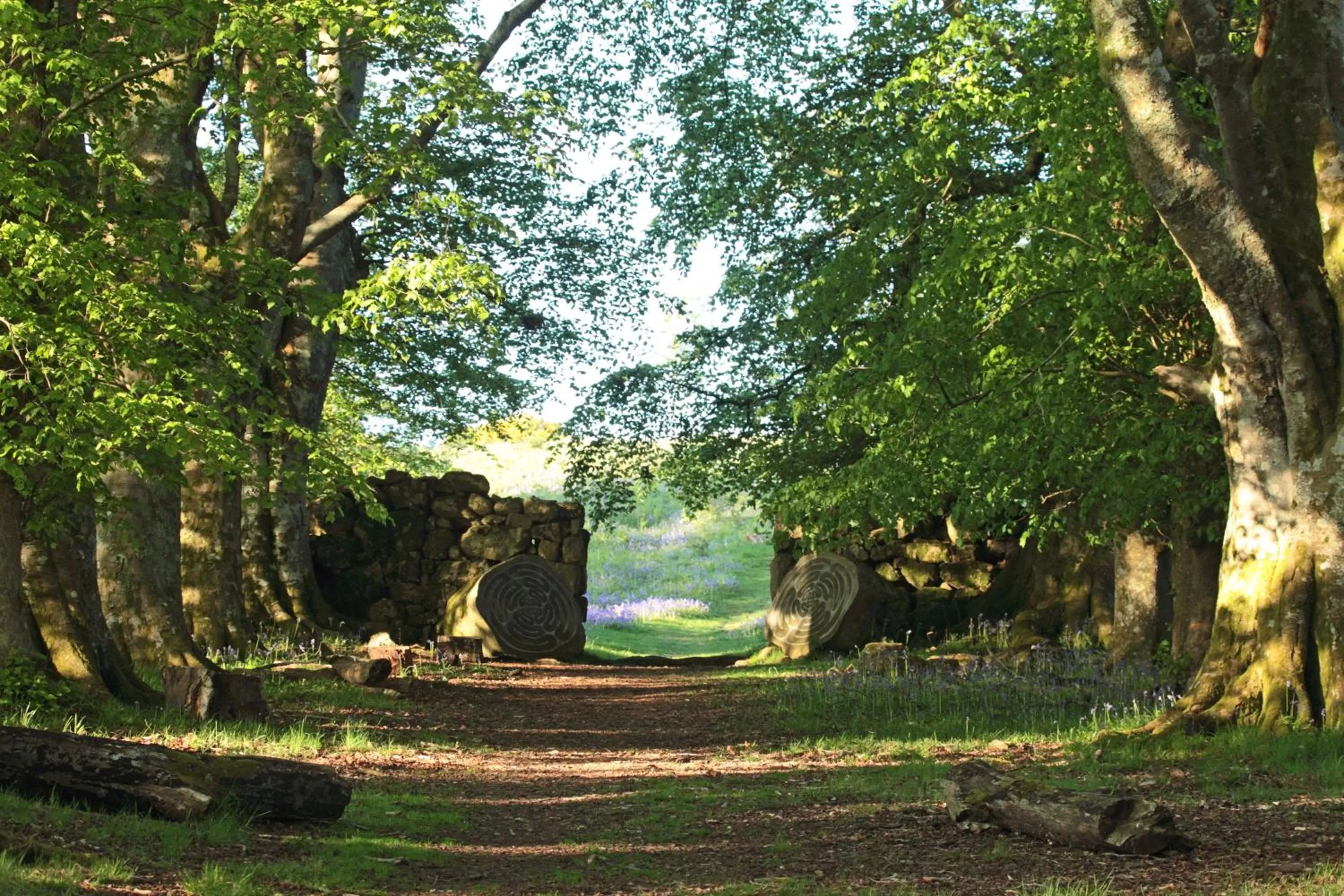 Natural landscape in Lovaton Farmhouse