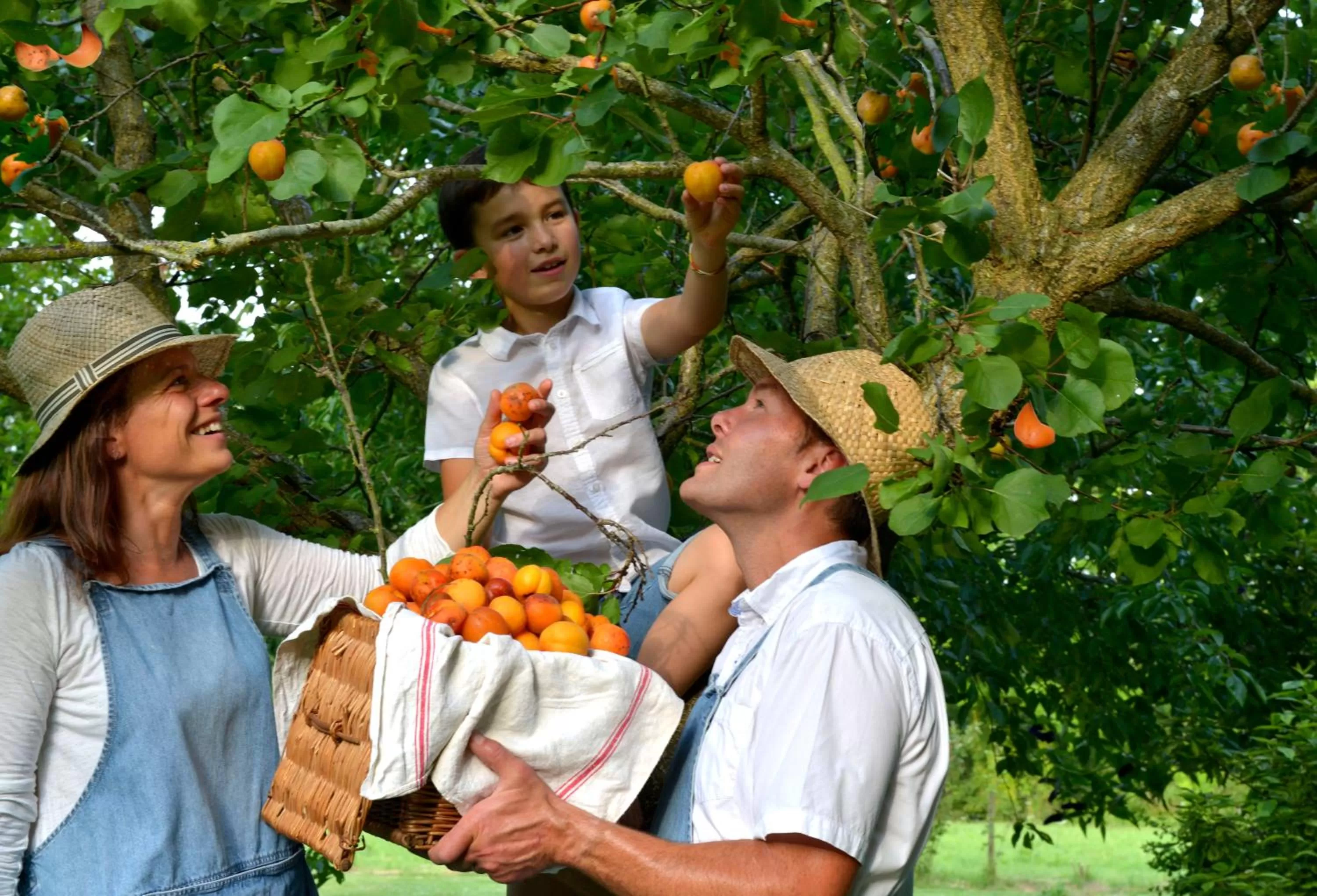 Garden in Château Saint Gilles - Bayeux