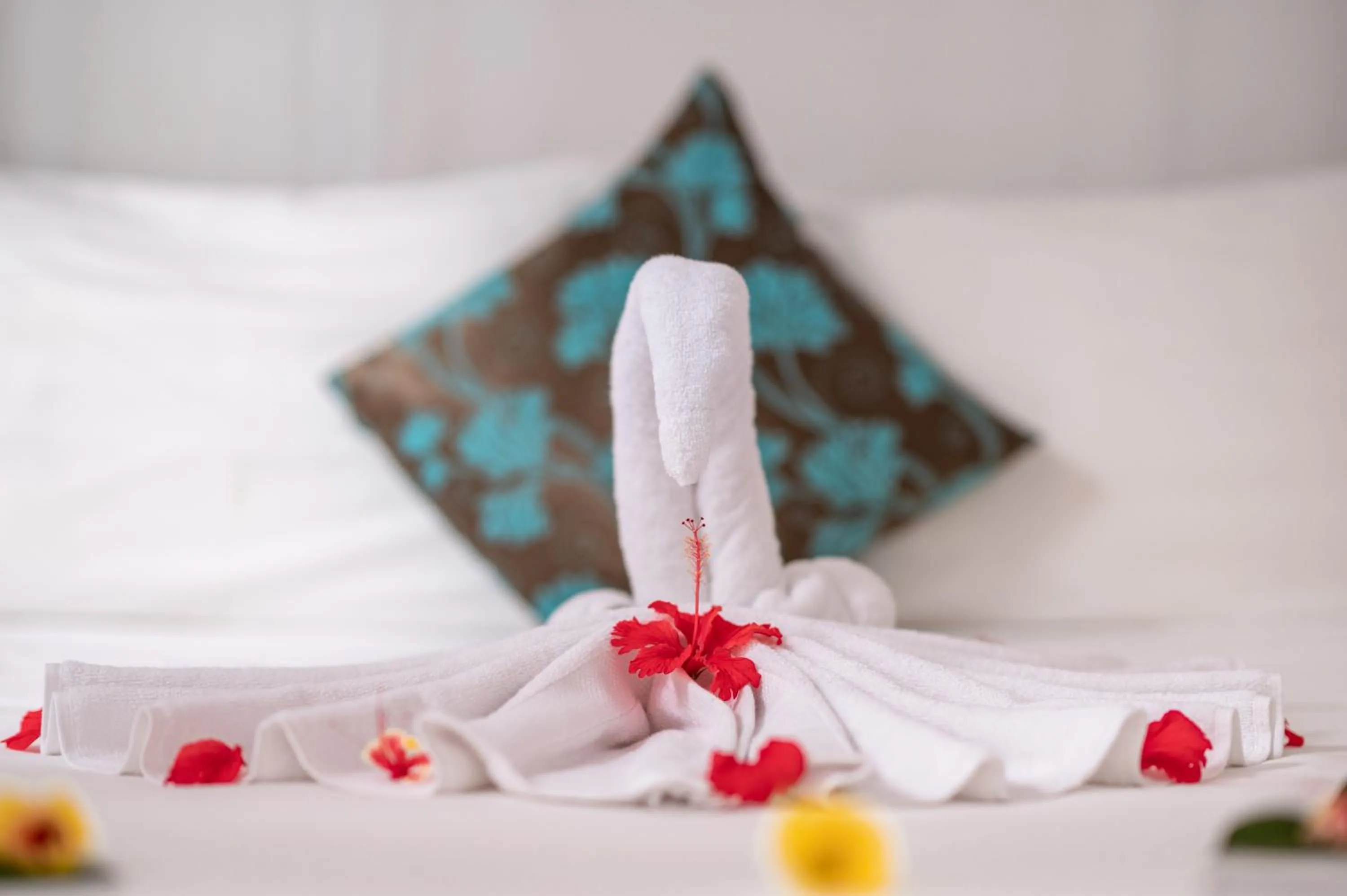 Bed in Hakuna Majiwe Beach Lodge