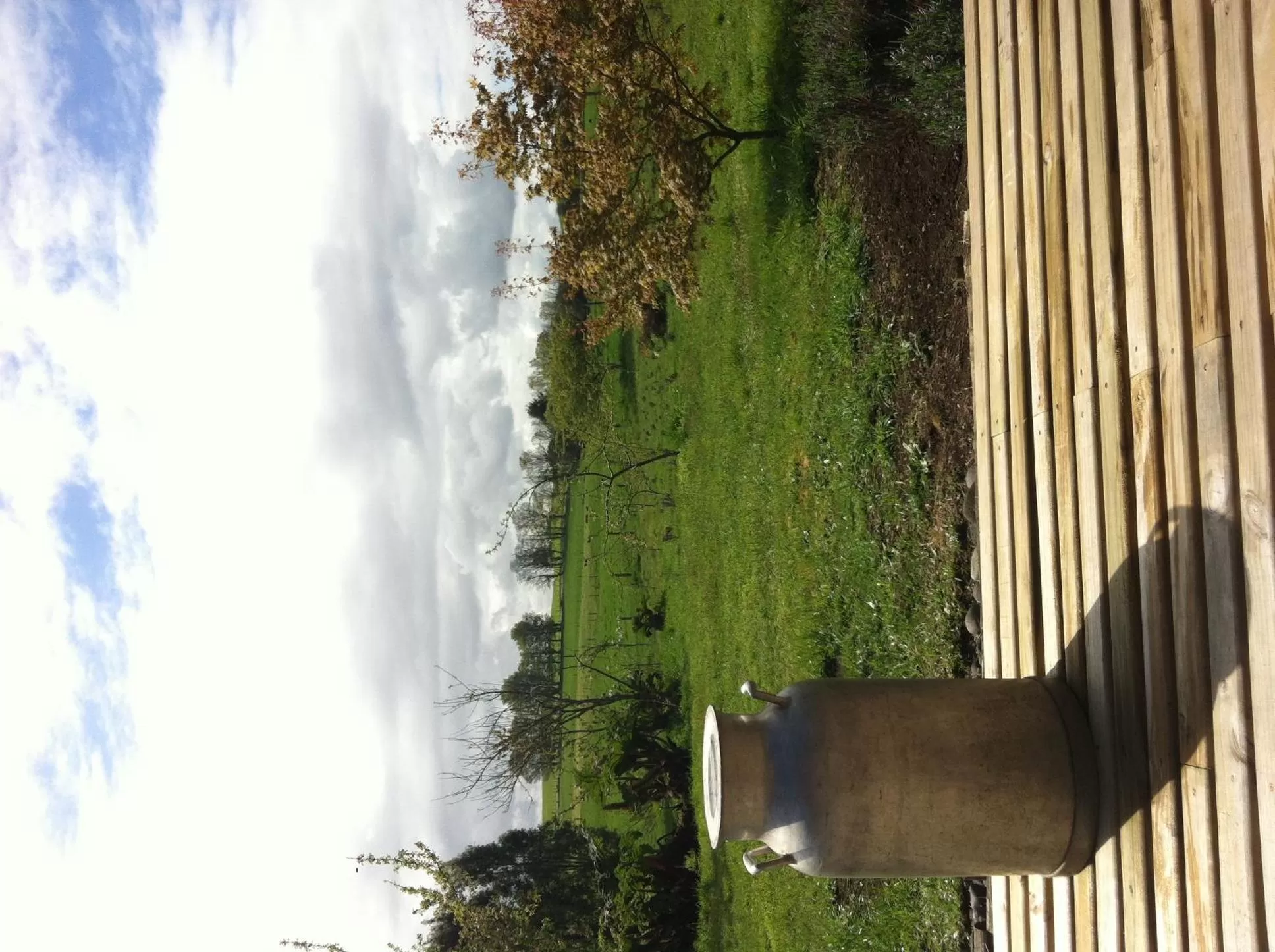 View (from property/room), Garden in Hostal Zapato Amarillo