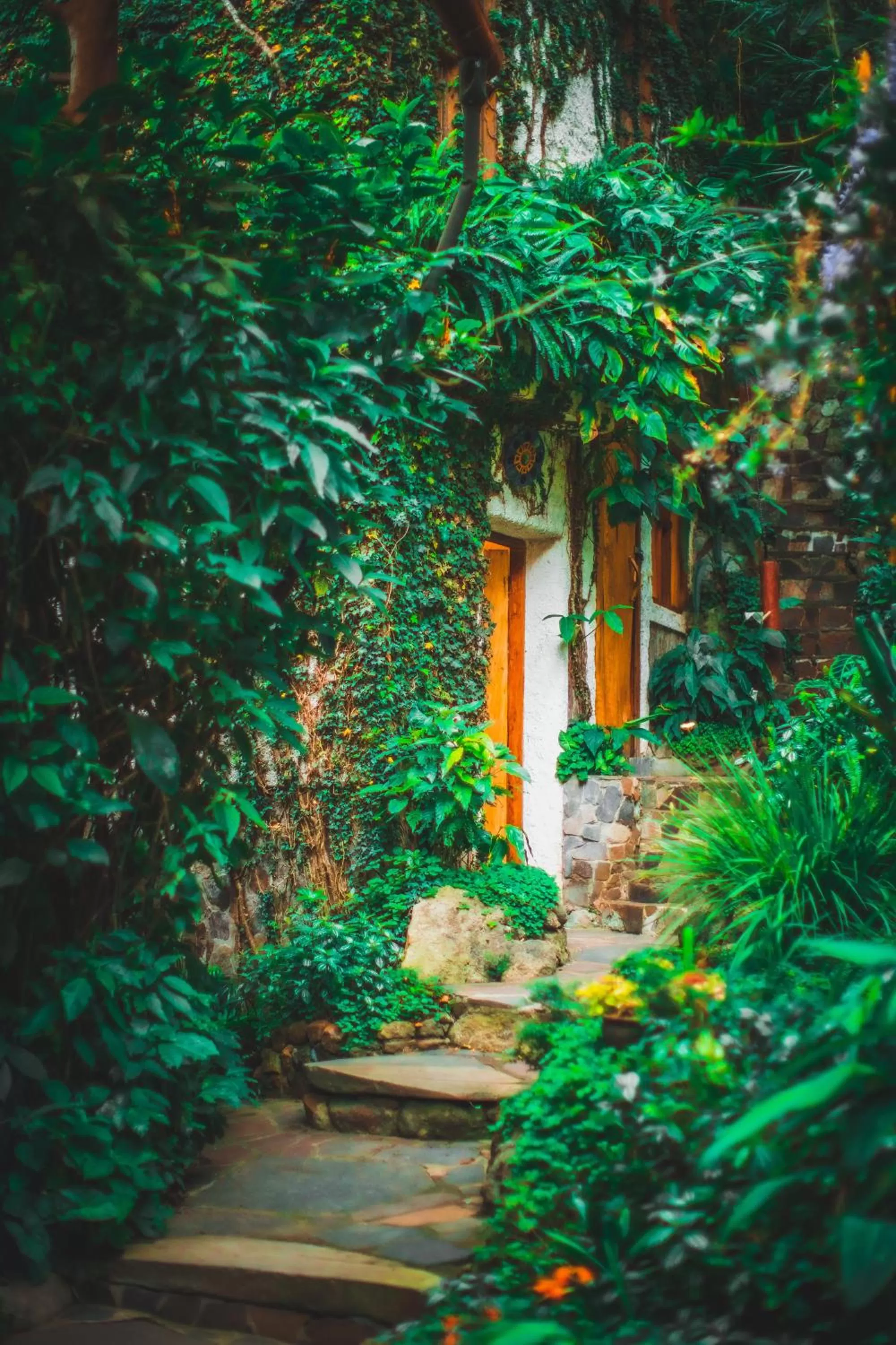 Natural landscape in Lush Atitlán