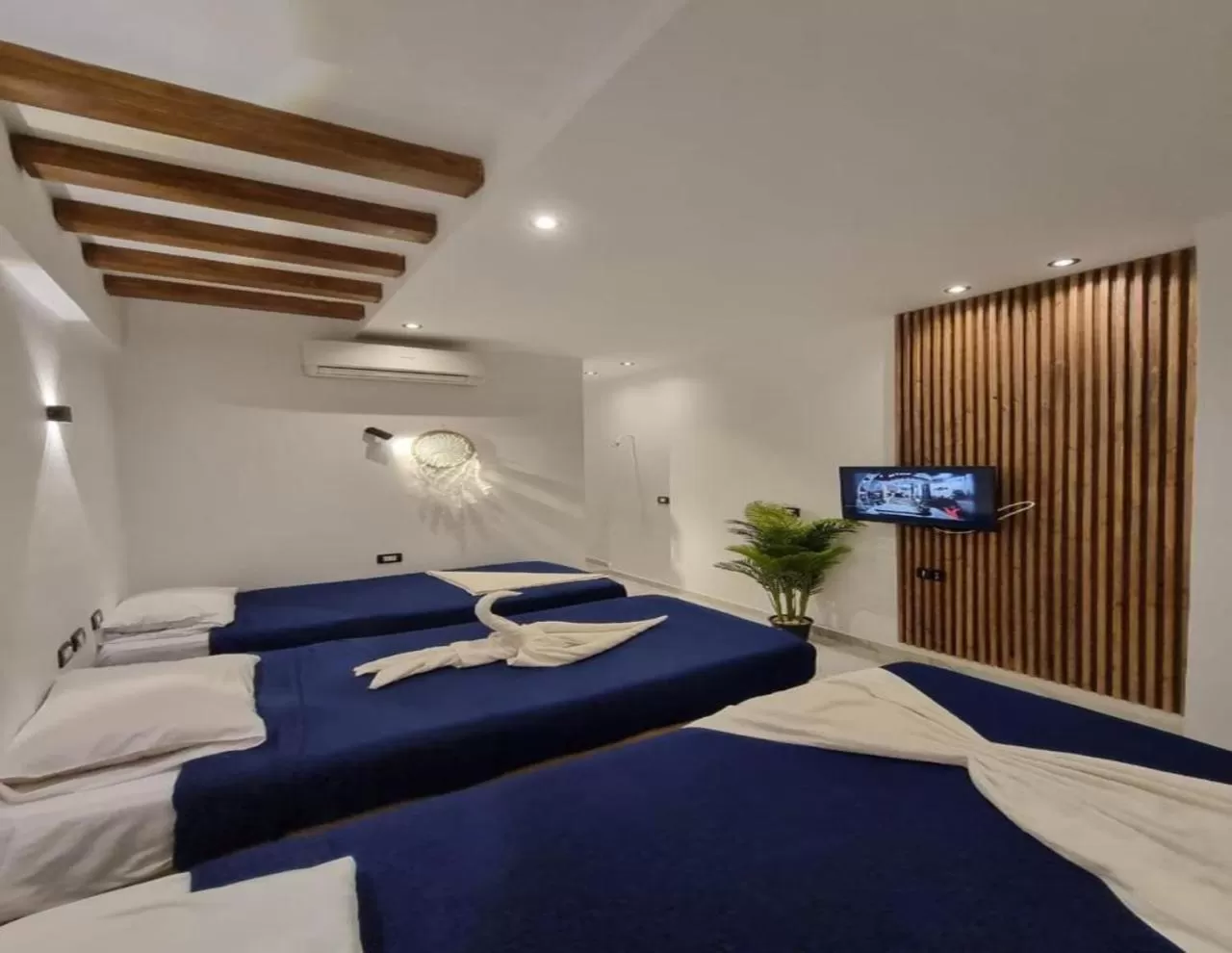 Bed in Penguin Village Dahab