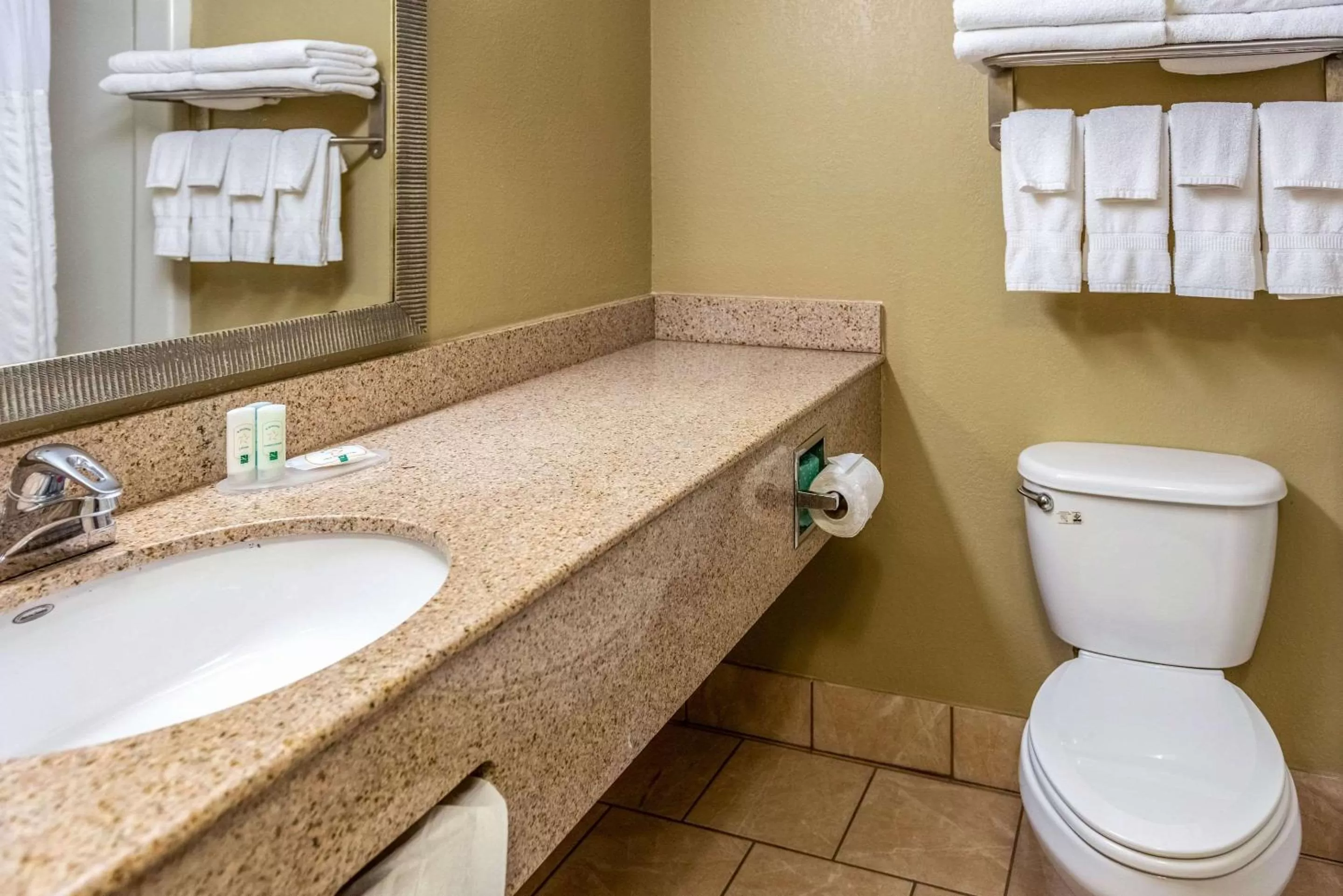 Bathroom in Quality Inn & Suites Seville