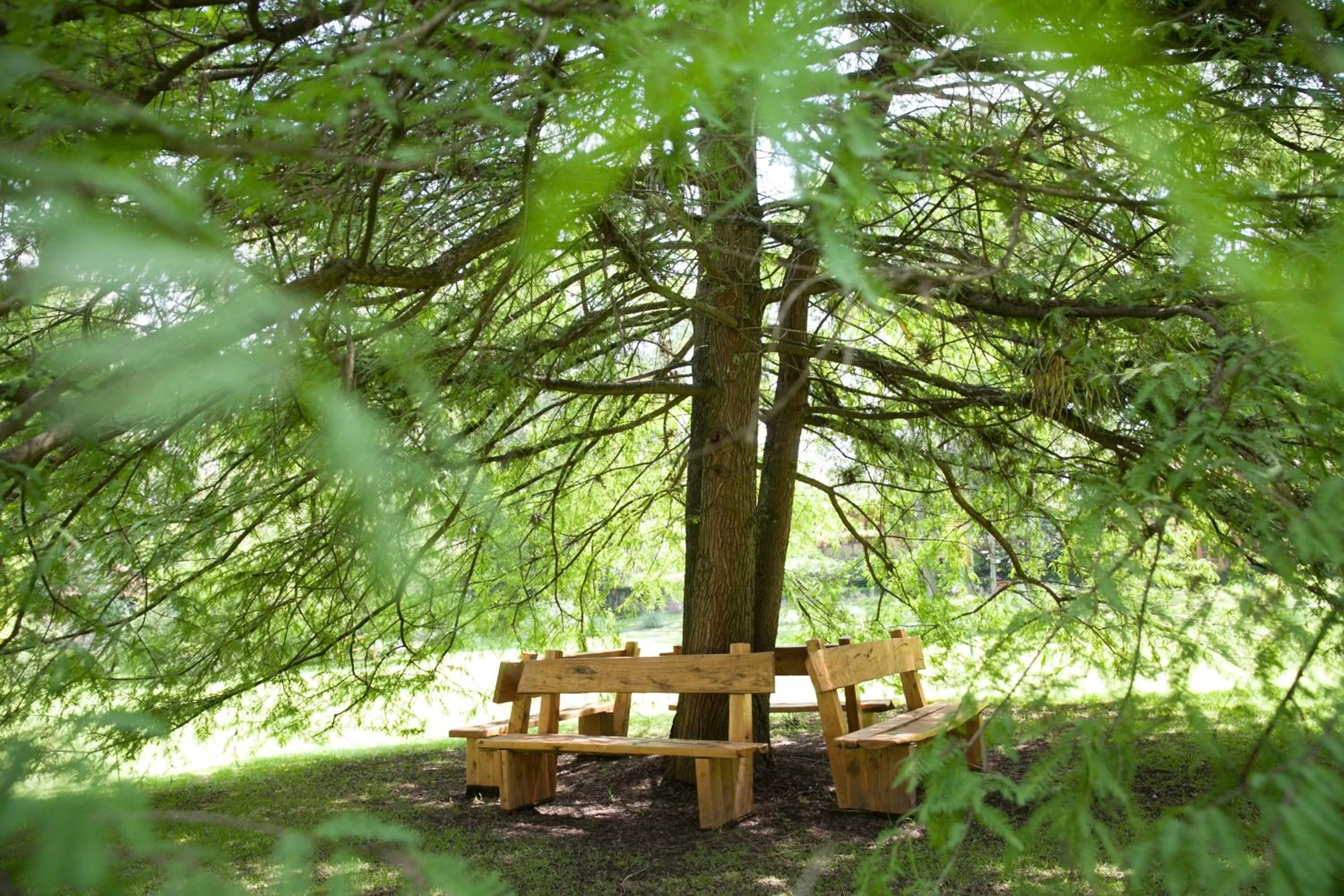 Natural landscape in Hotel Rancho San Cayetano