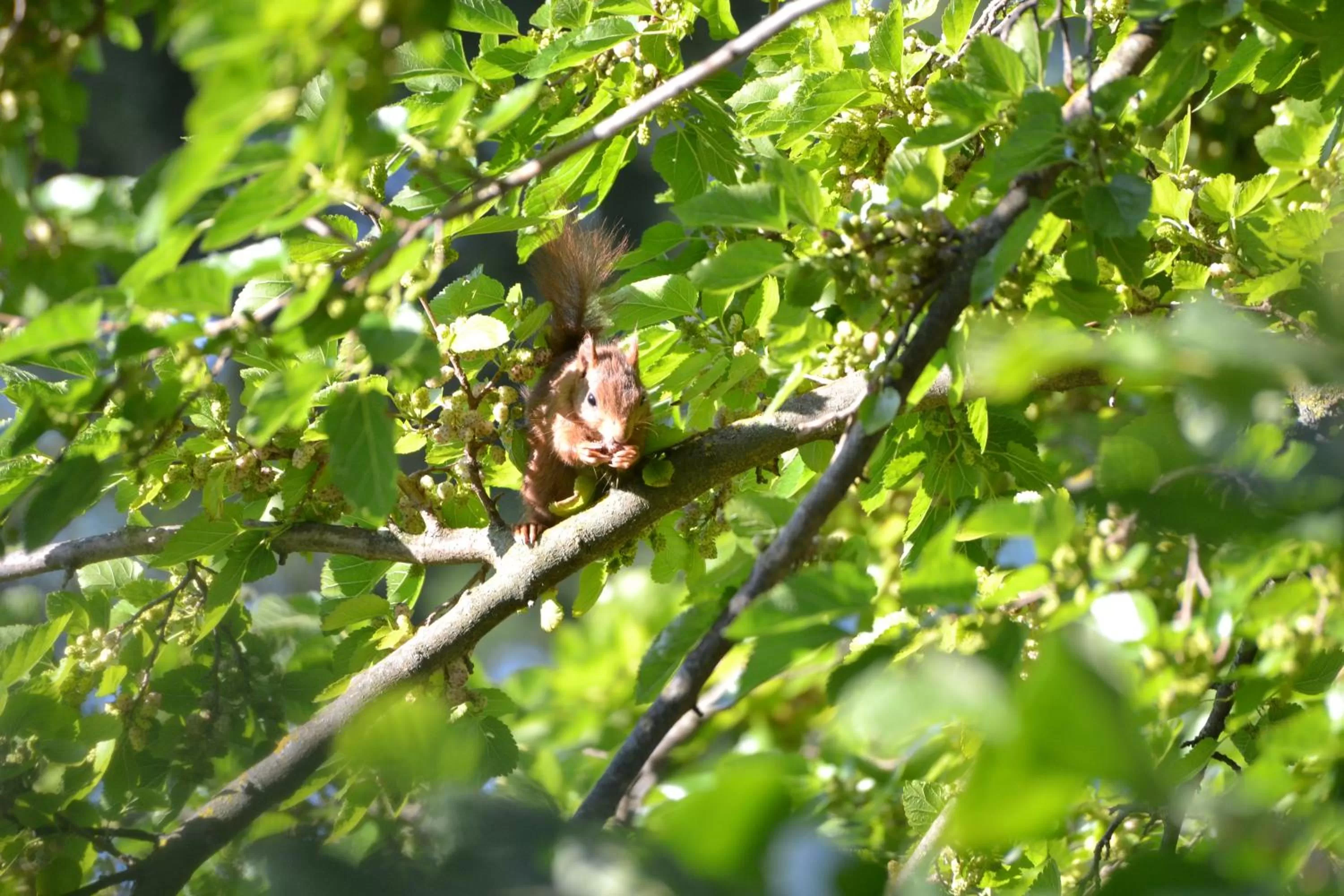 Property building in Le Pavillon Vert - B&B
