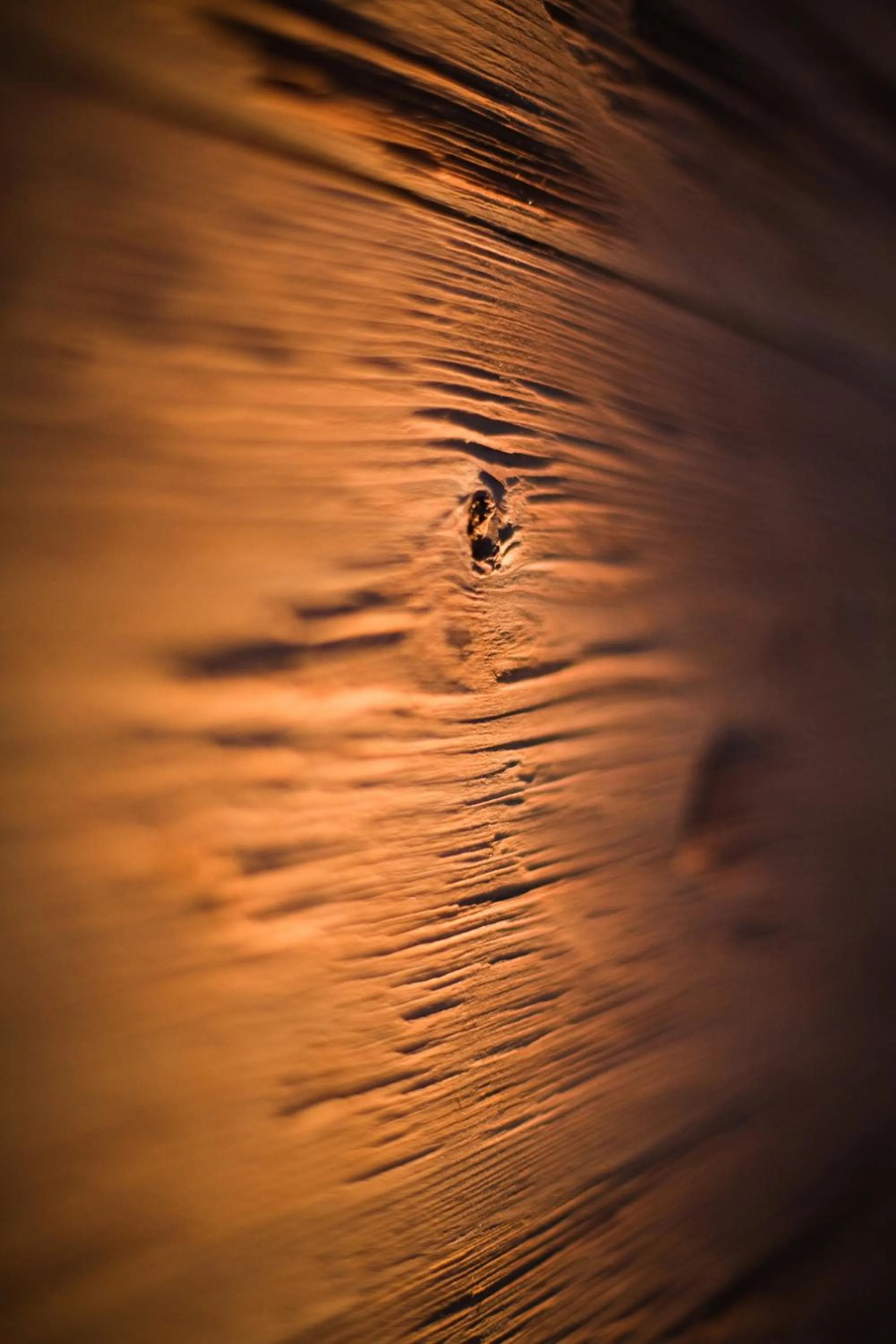 Restaurant/places to eat in Arosa Vetter Hotel