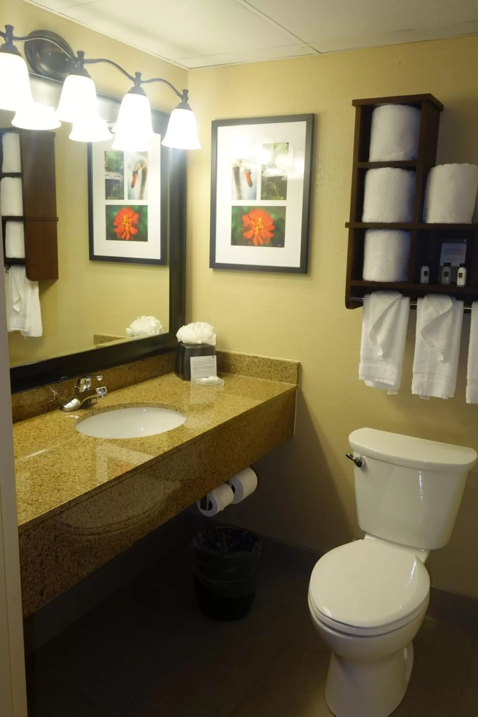 One-Bedroom King Suite - Disability Access/Non-Smoking in Country Inn & Suites by Radisson, Burlington (Elon), NC One-Bedroom King Suite - Disability Access/Non-Smoking in Country Inn & Suites by Radisson, Burlington (Elon), NC