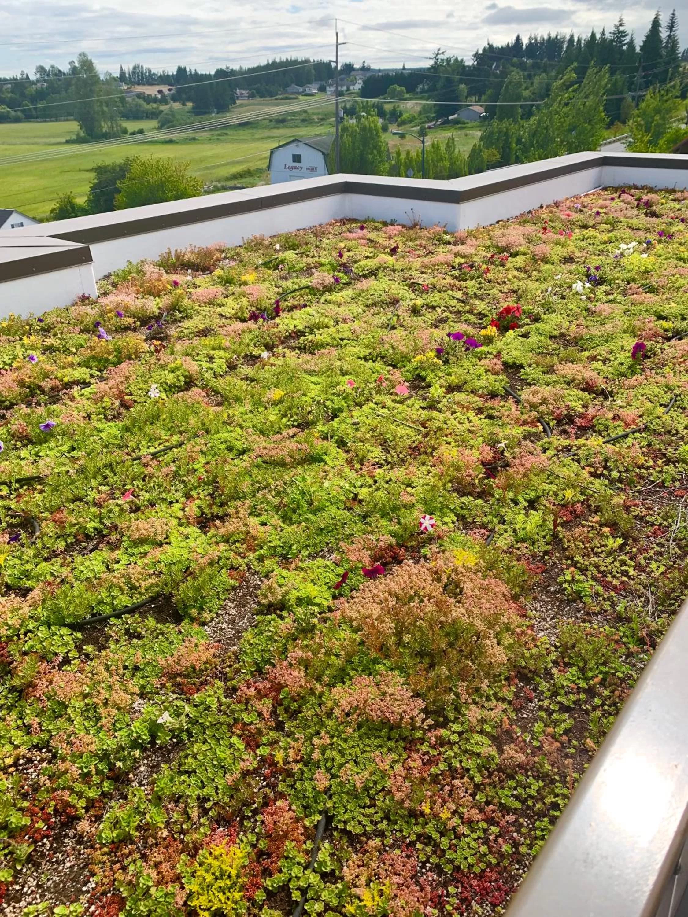 Garden in Holiday Inn Express Hotel & Suites North Sequim by IHG