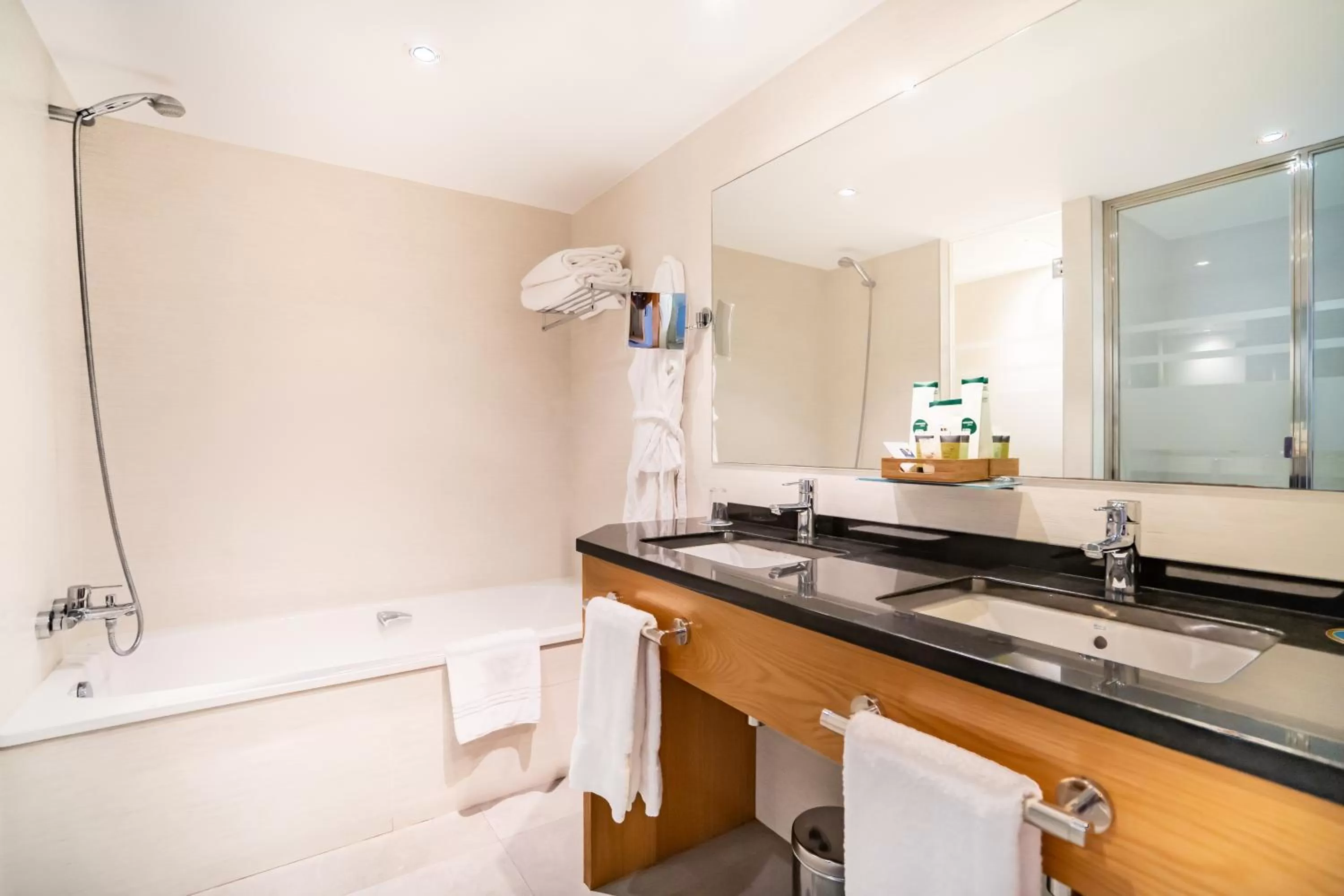 Toilet in Gran Hotel Victoria