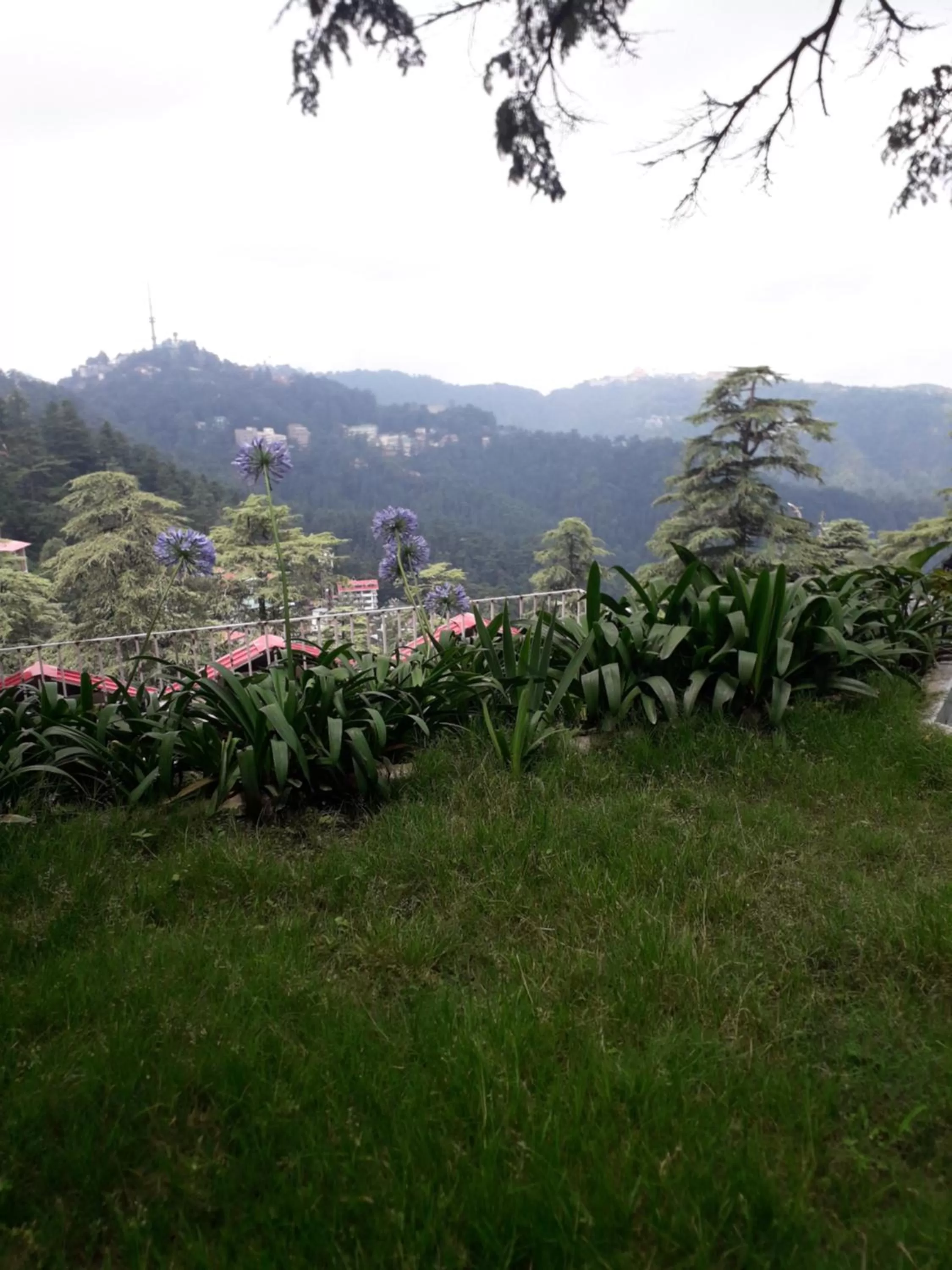 Natural landscape in Hotel Lords Regency - Connected to Mall Road