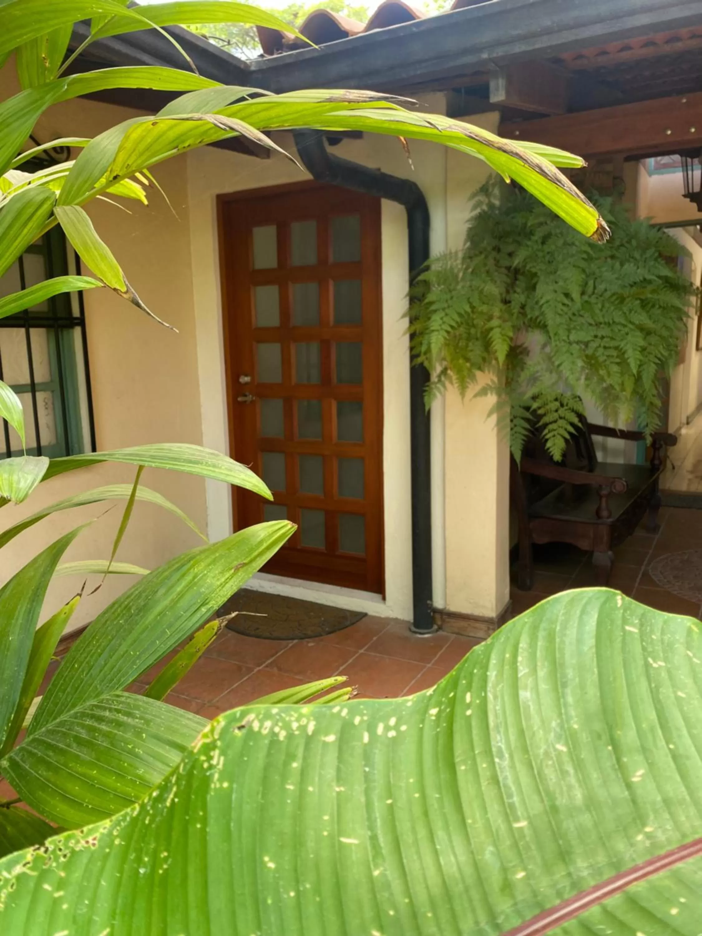 Property building in Tierra Magica B&B and Art Studio