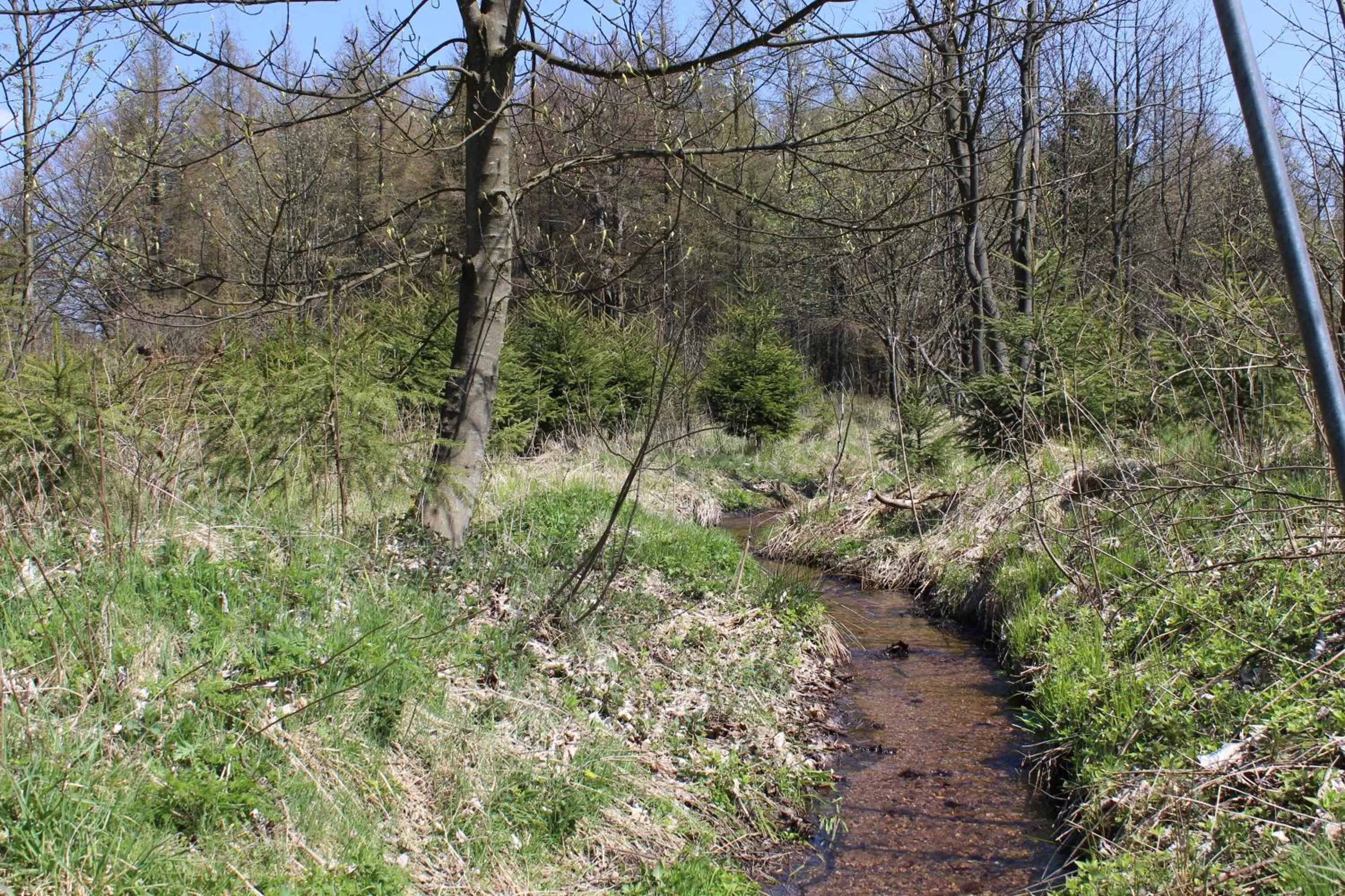 Natural Landscape in Waldgasthof Bad Einsiedel
