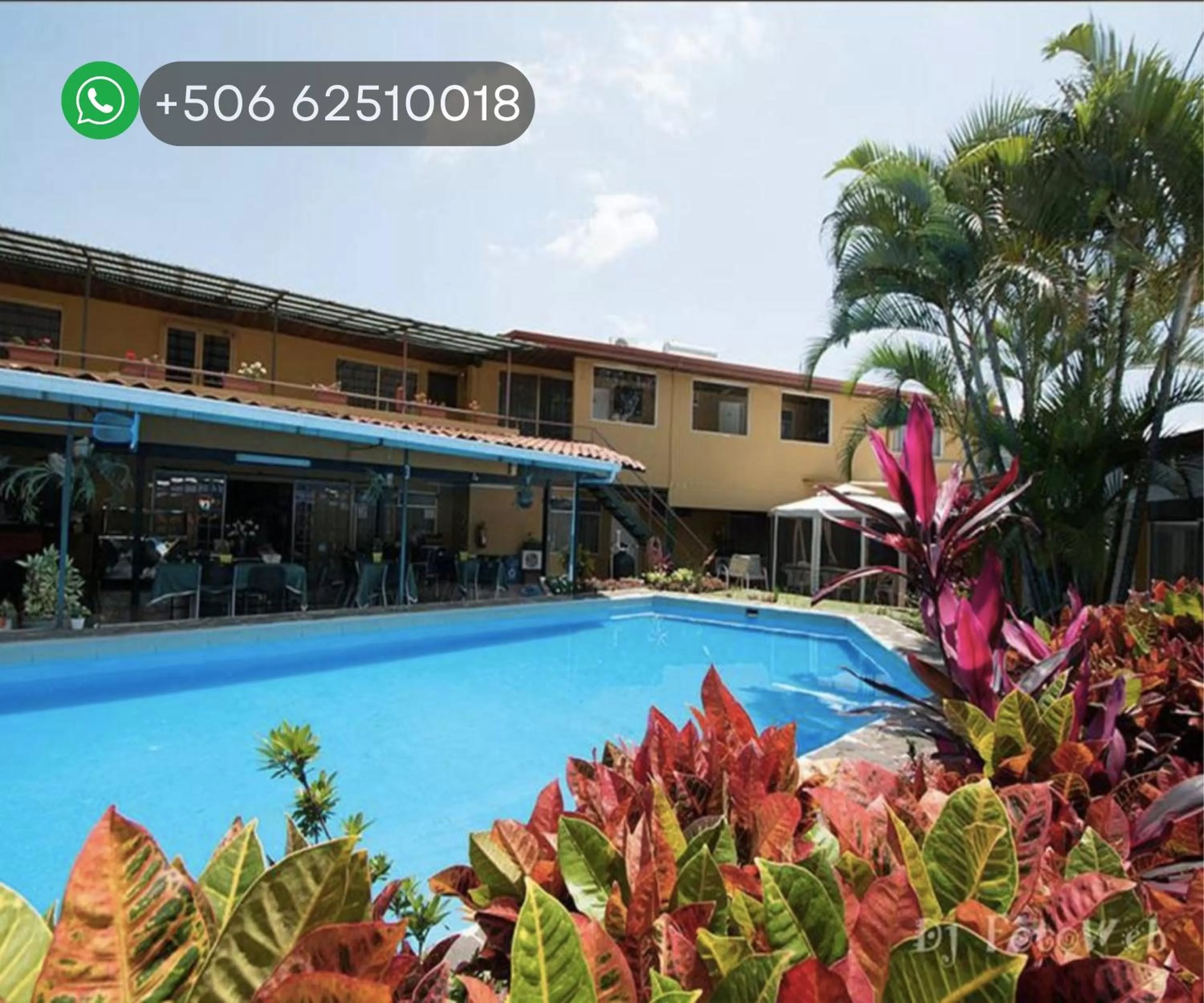 Swimming pool in Hotel Puerta del Sol - San Jose Airport