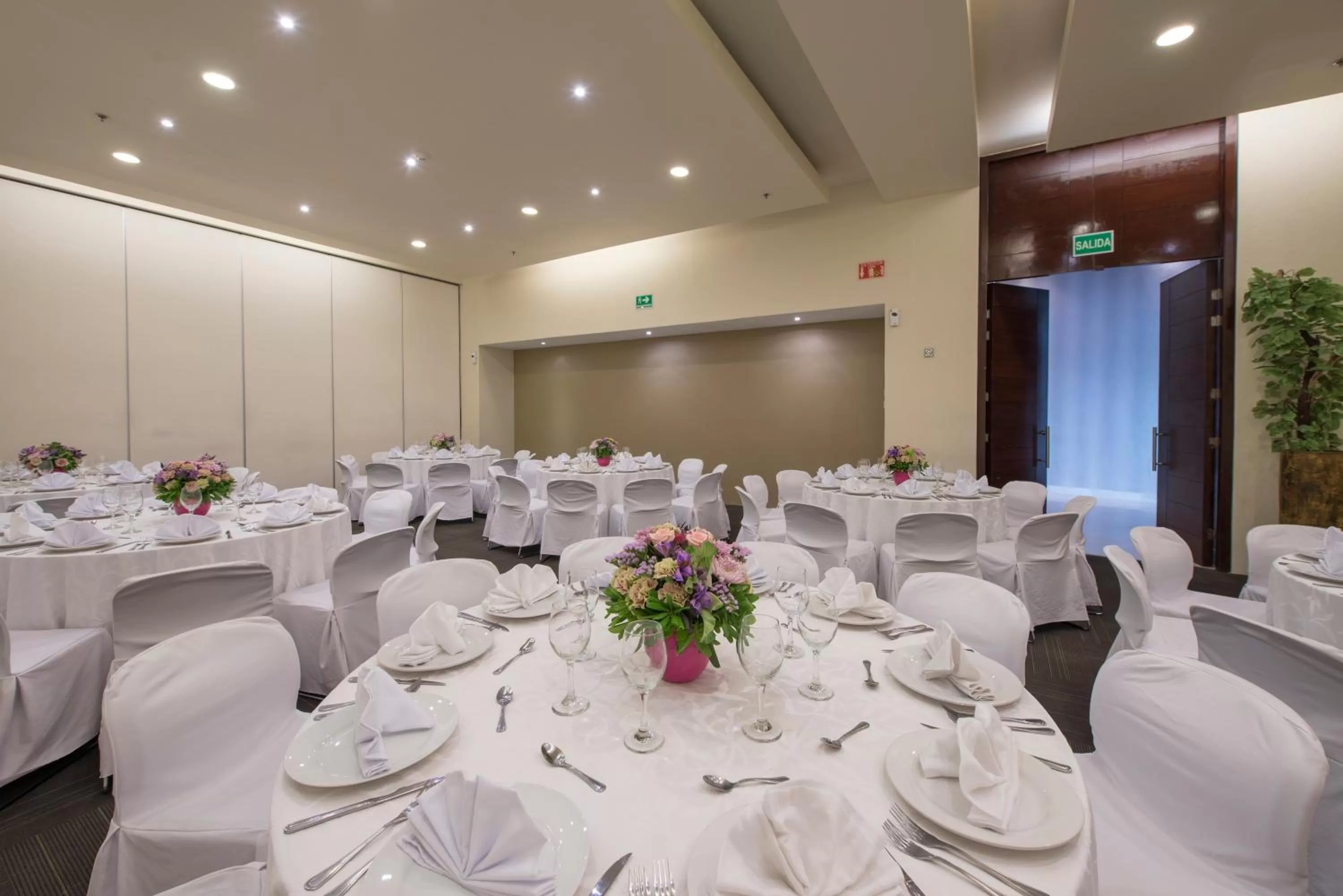 Banquet/Function facilities in Victoria Ejecutivo