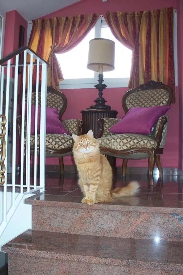 La tana del tasso Ventimiglia