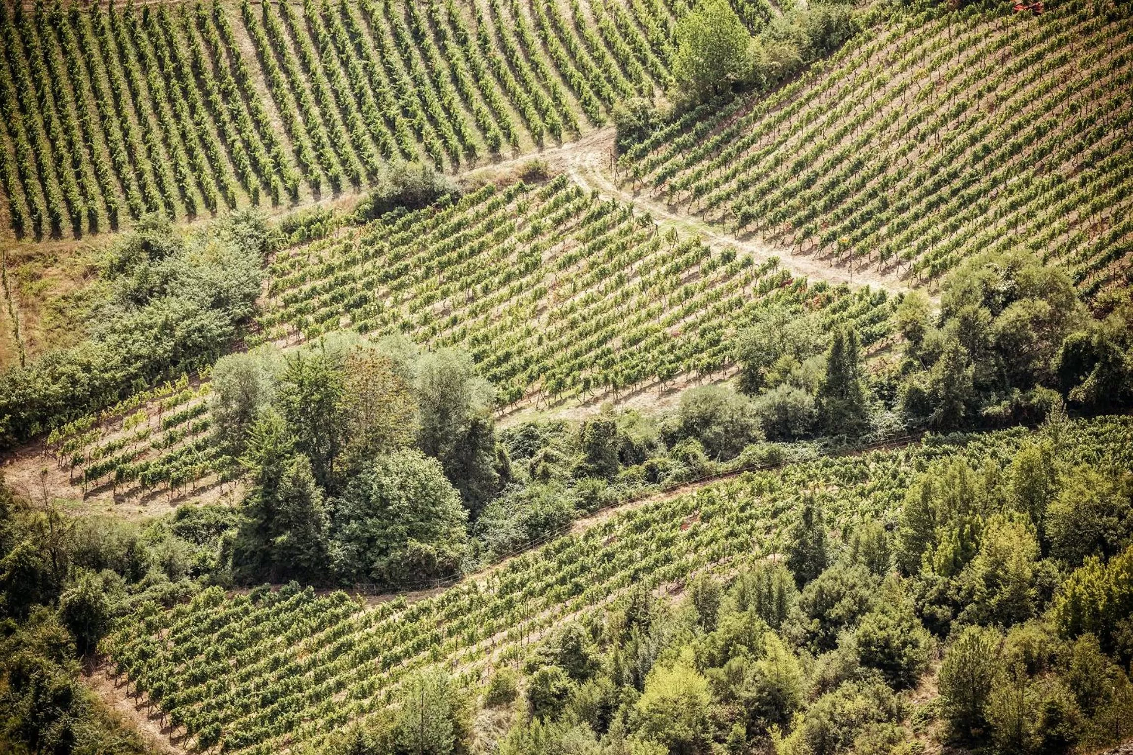 Natural landscape in Grand Forest Metsovo - Leading Hotels of the World