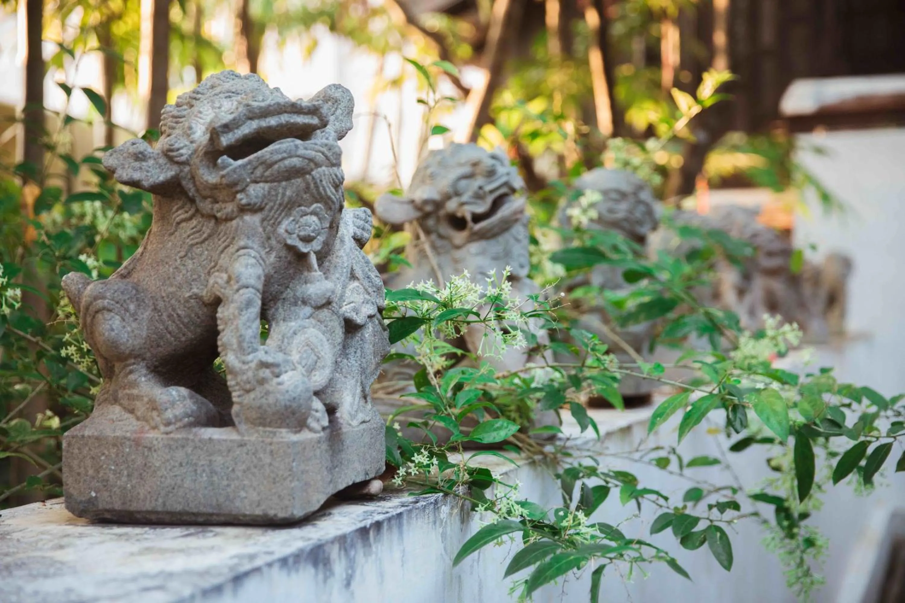 Garden in Villa Mahabhirom