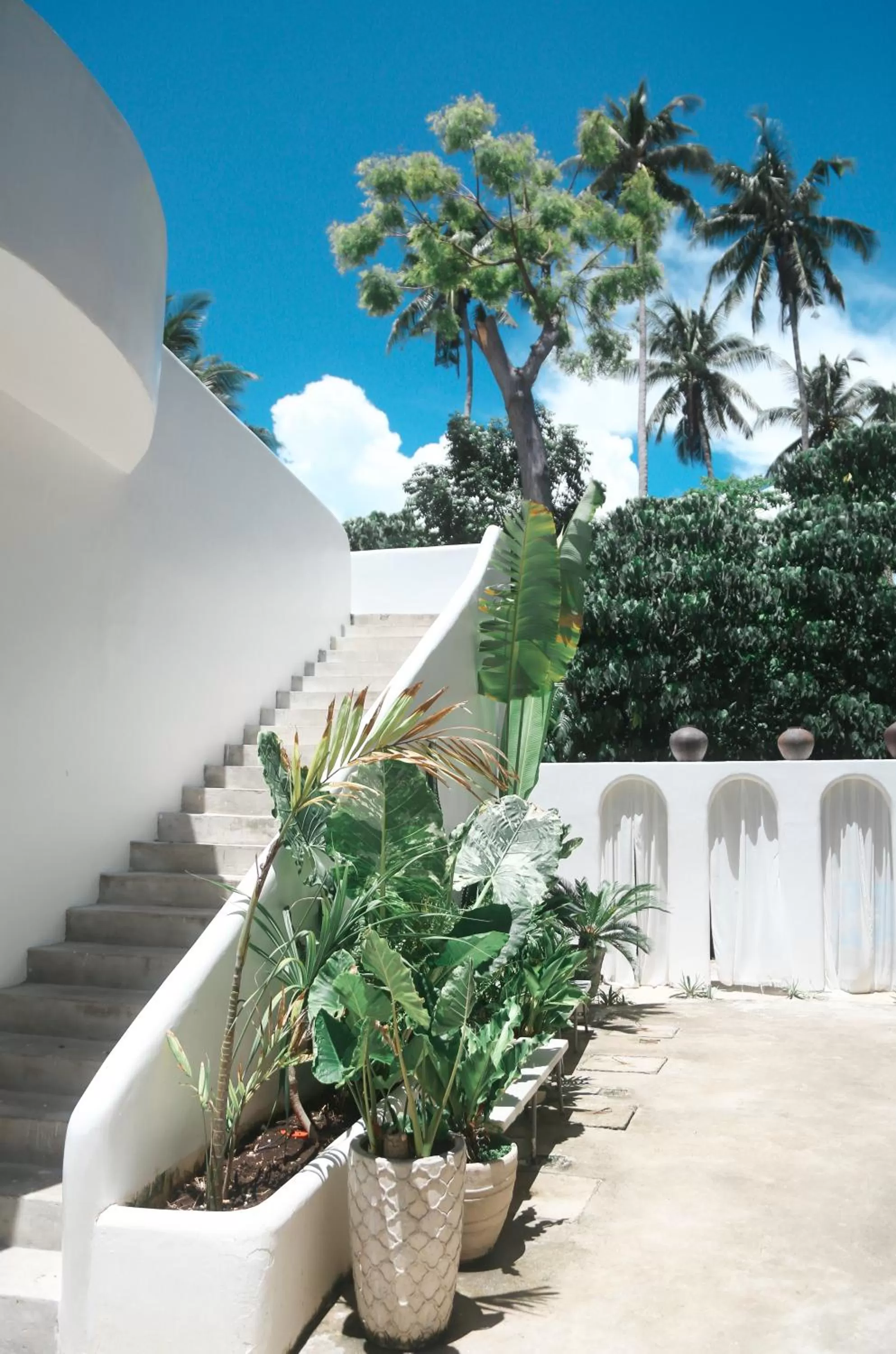 Day in Bassa nova villa