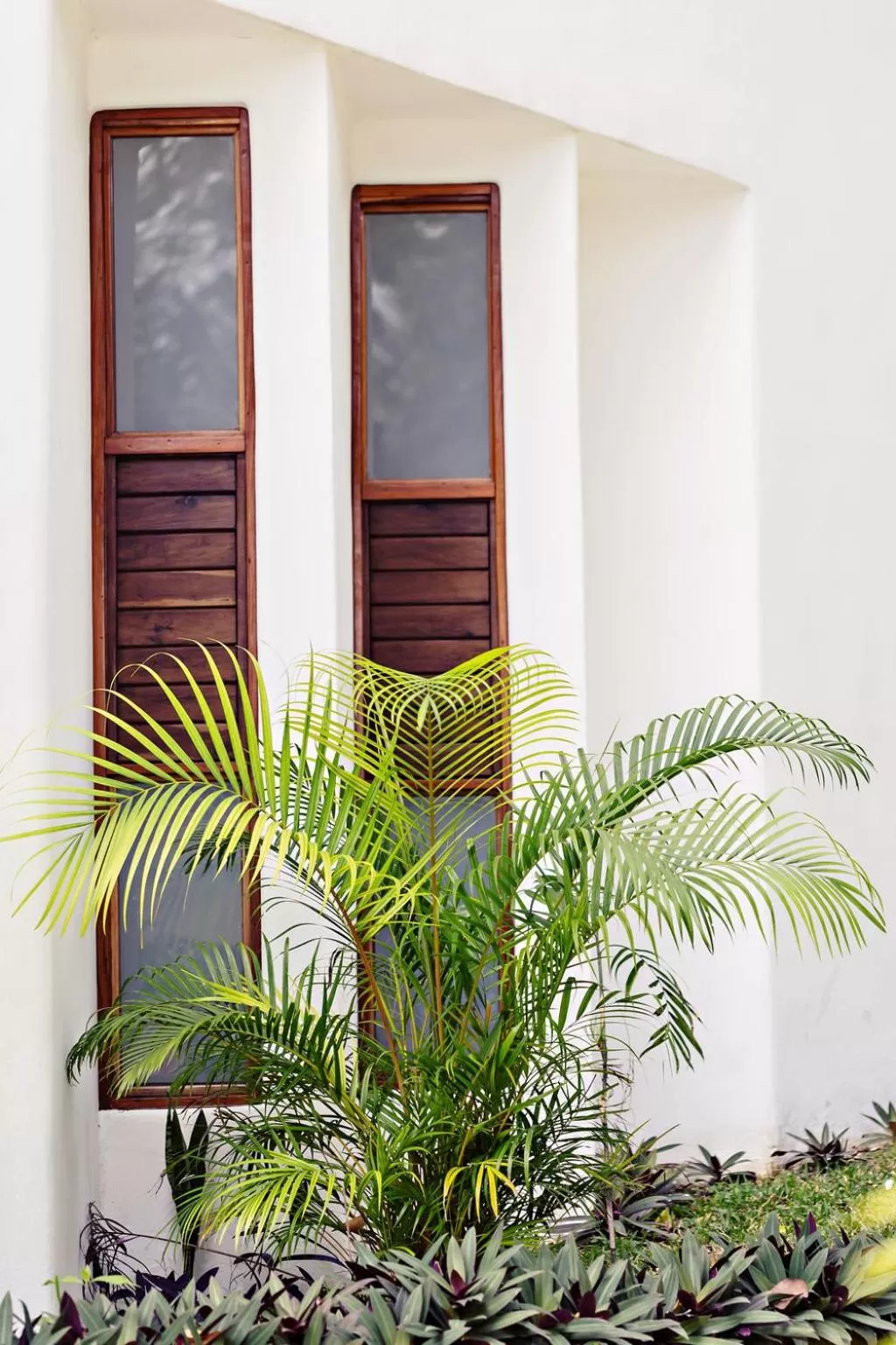 Garden in Mi Kasa Tu Kasa Bacalar