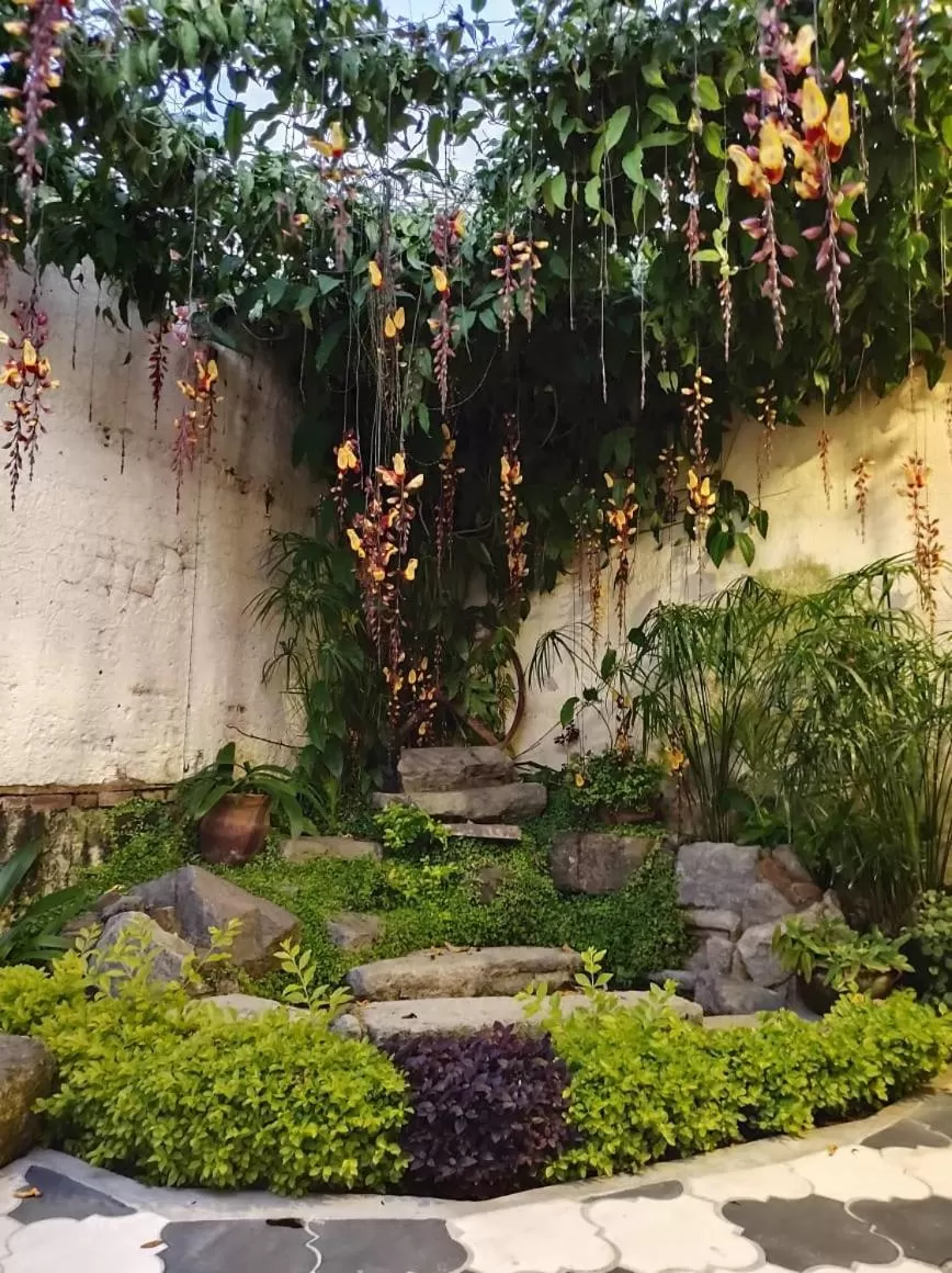 Garden in Hotel Palacio Chico 1948