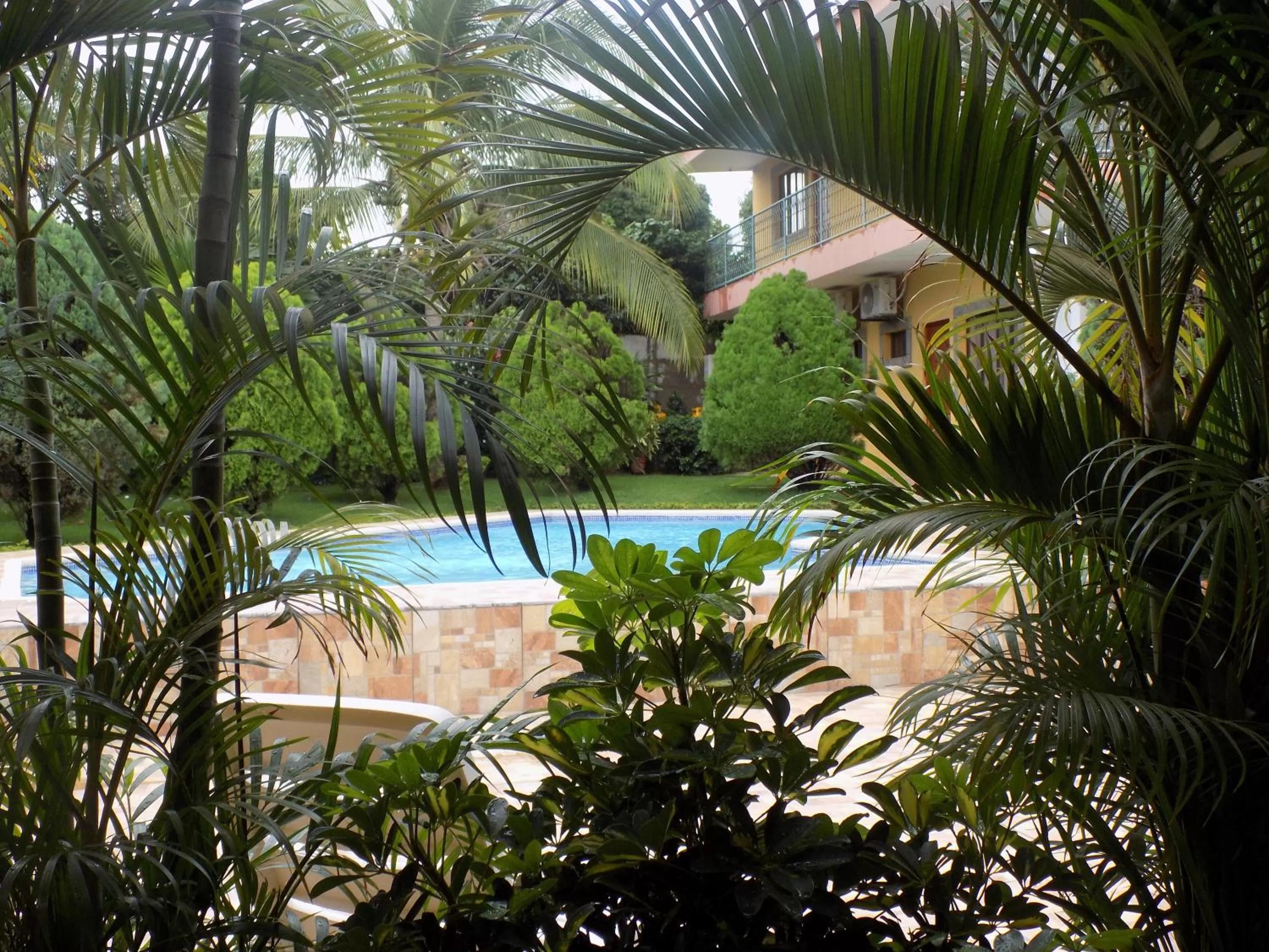 Garden, Swimming Pool in Hotel Los Pinos