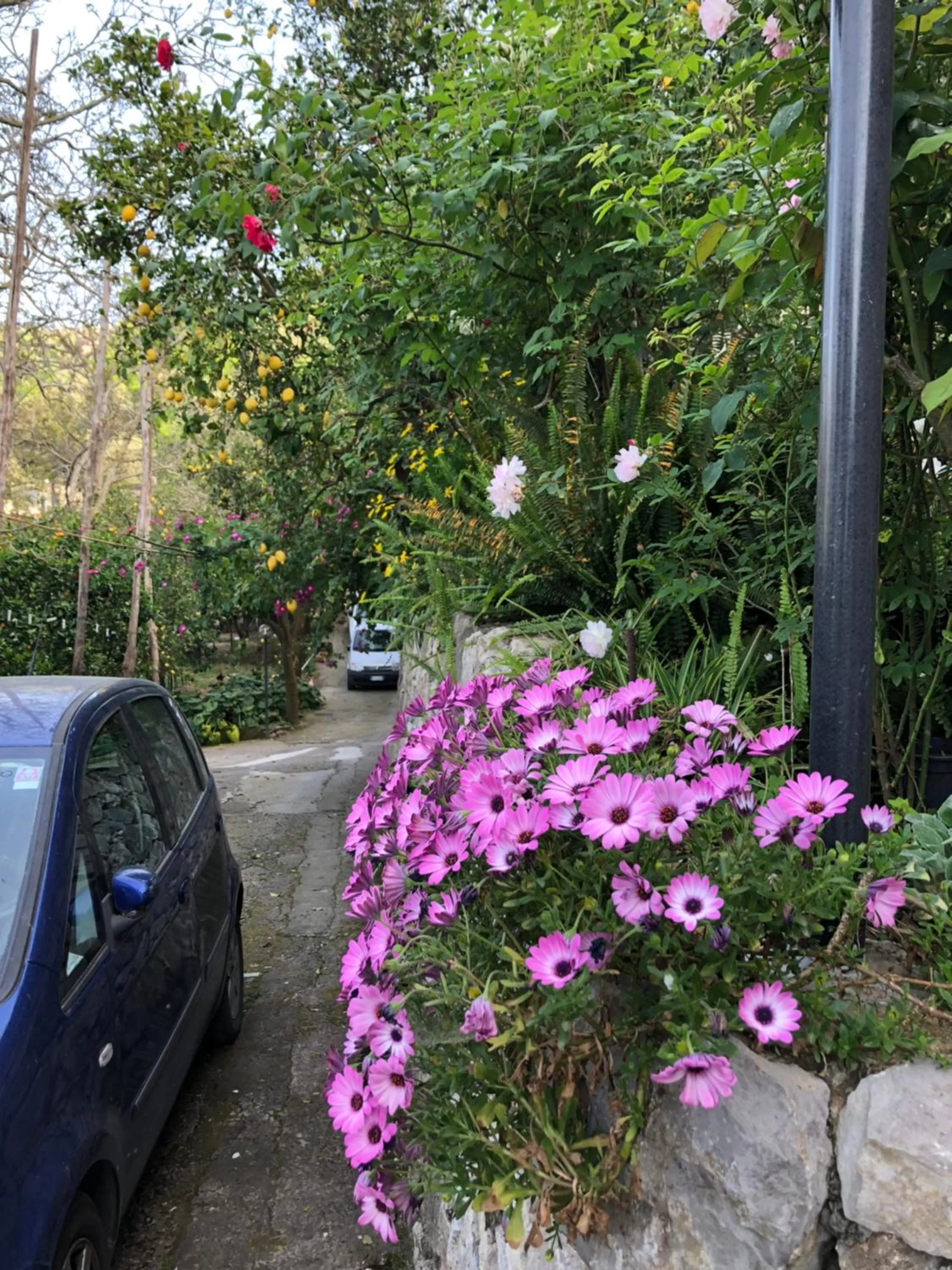 B&b L' Arancio in fiore