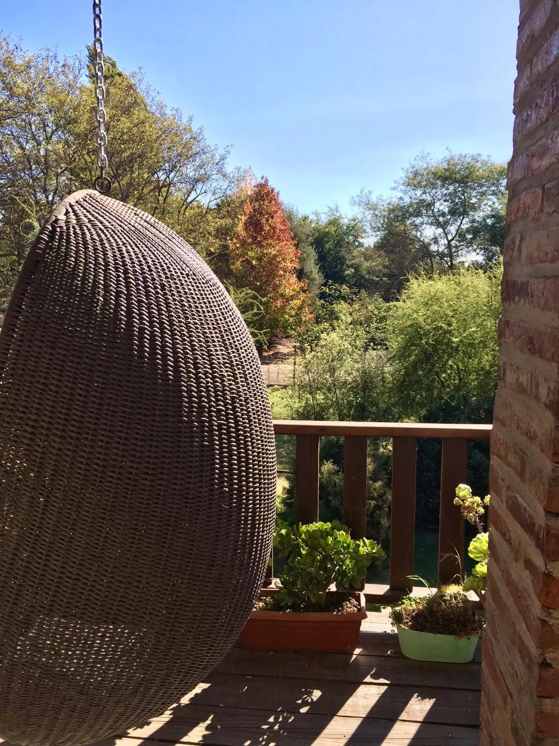 Patio in Hotel Casa De Campo