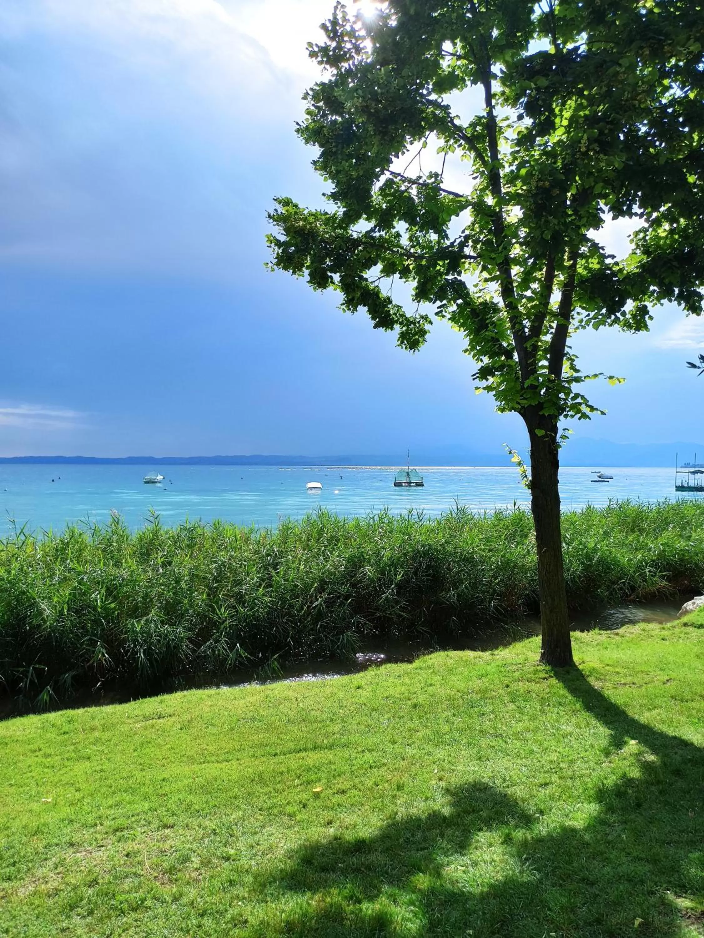 Natural landscape in Le Zampolle B & B