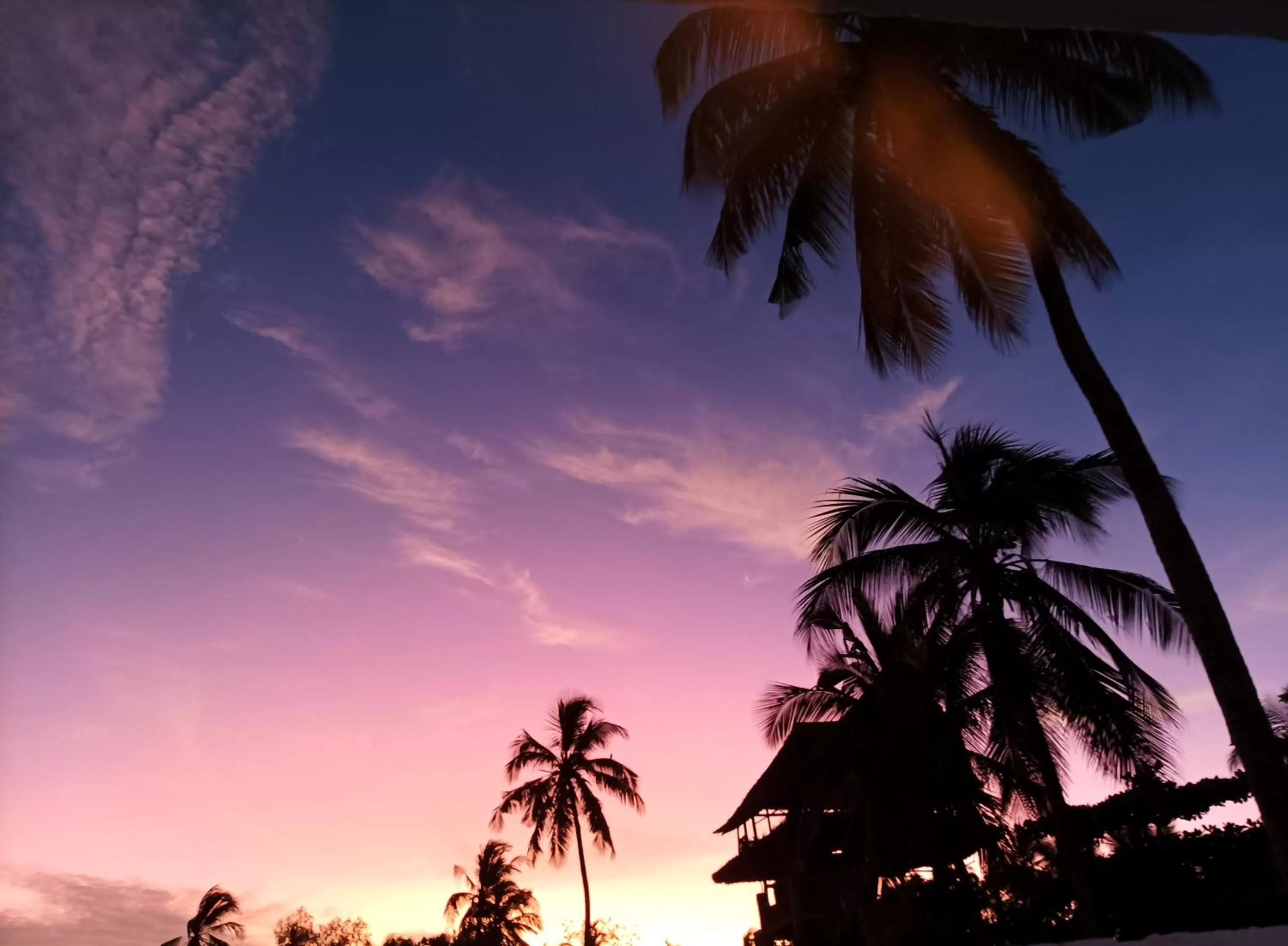 Sunrise/Sunset in Zanzicrown