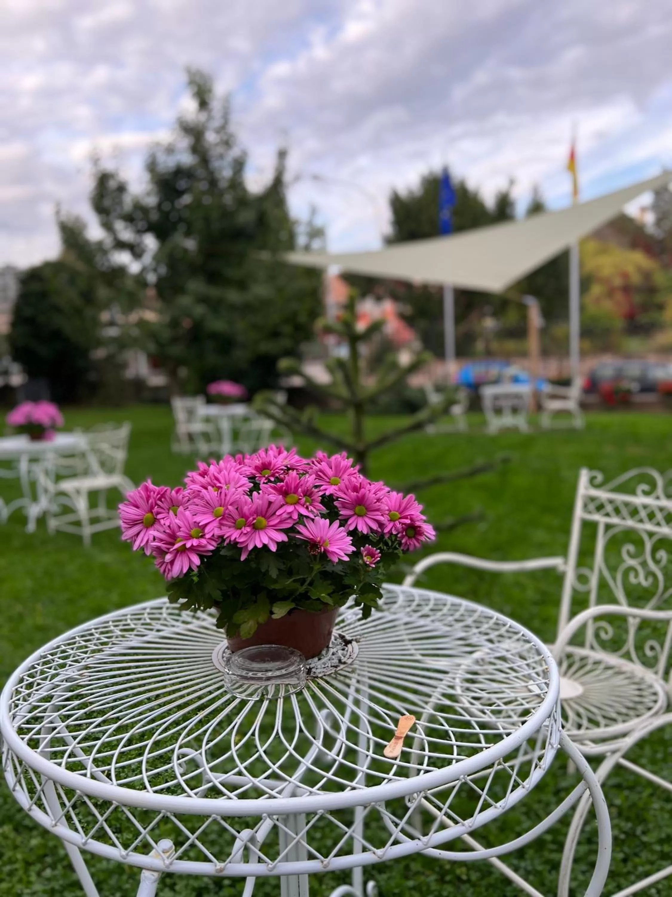 Garden in Hôtel Le Manoir