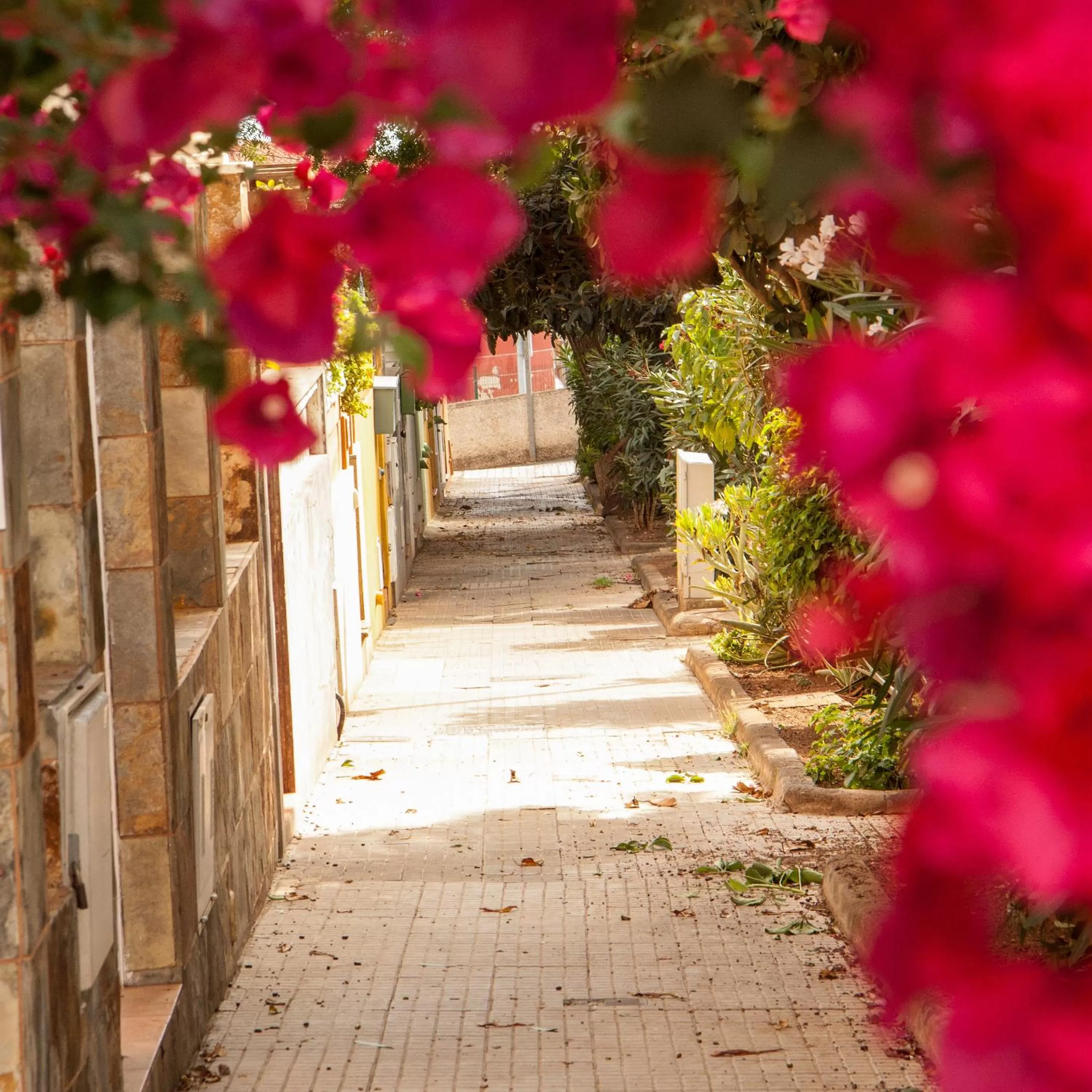 Natural landscape in Il Sogno di Gio della Laguna