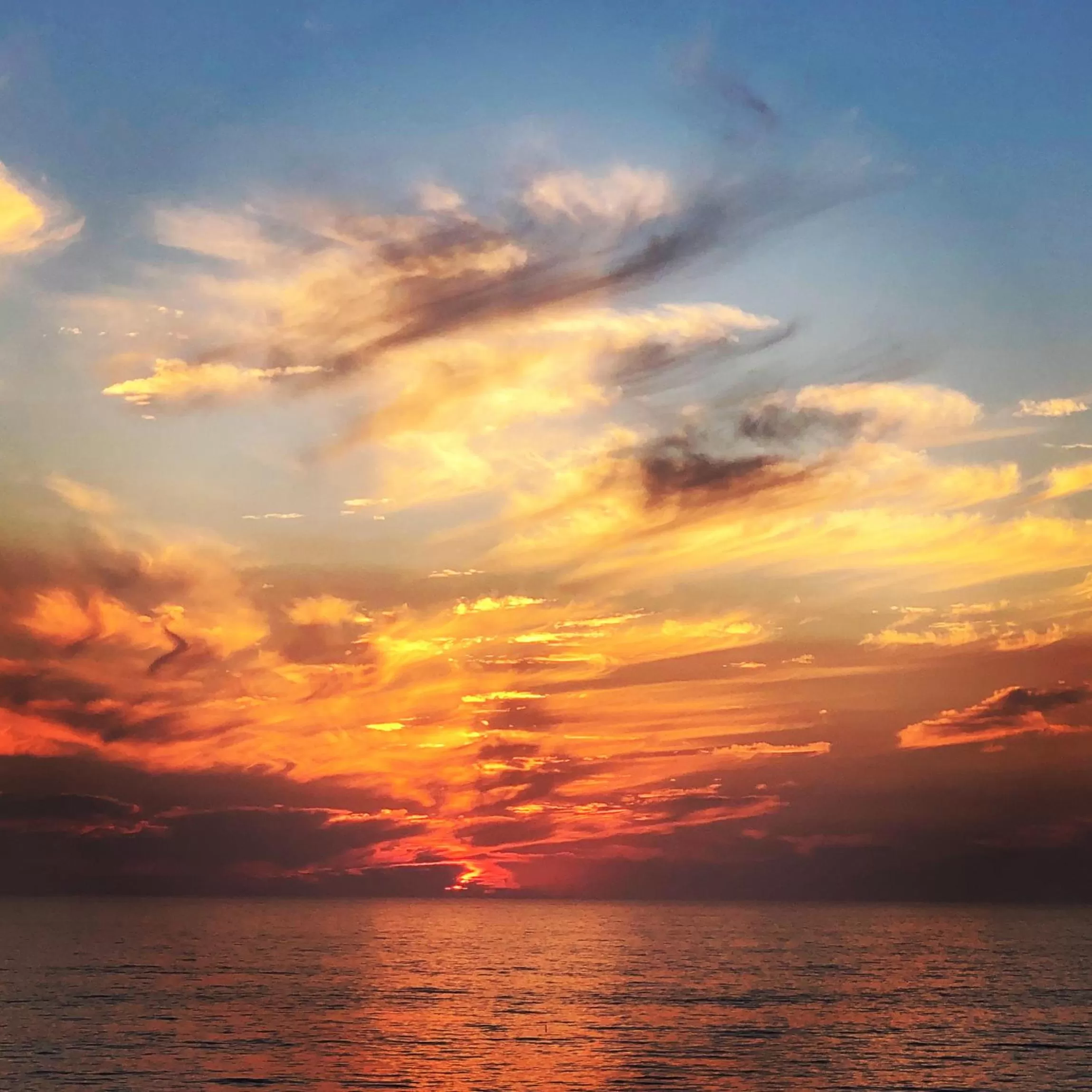 Beach in Moonlight Beach Motel