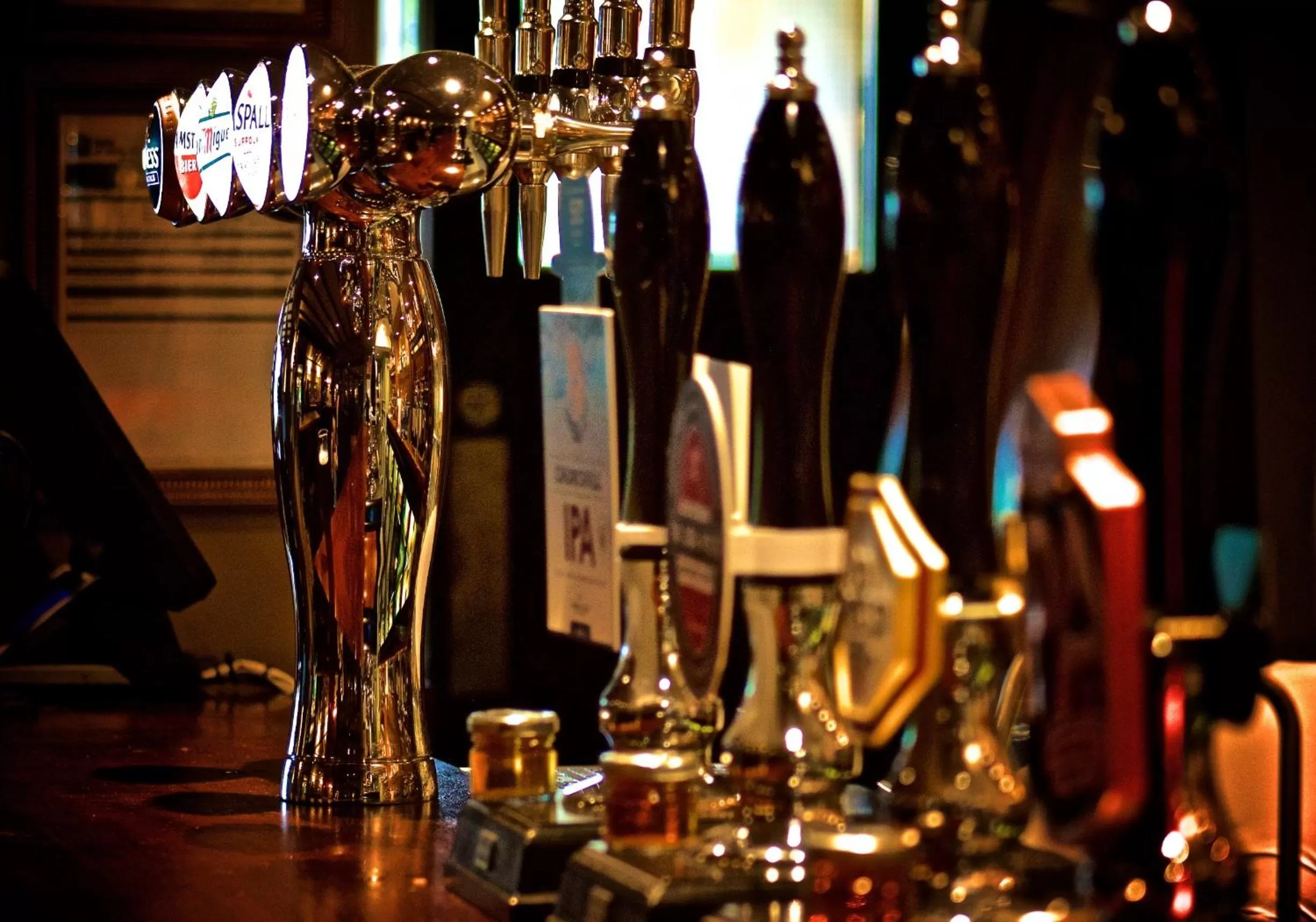 Lounge or bar in Dog House by Chef & Brewer Collection