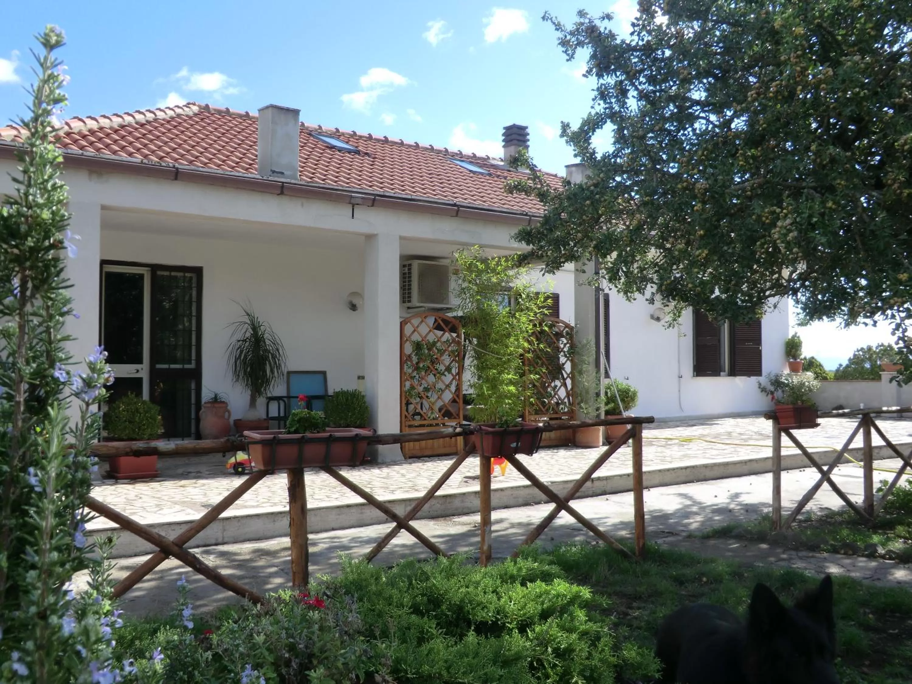 Property Building in La Nepitella