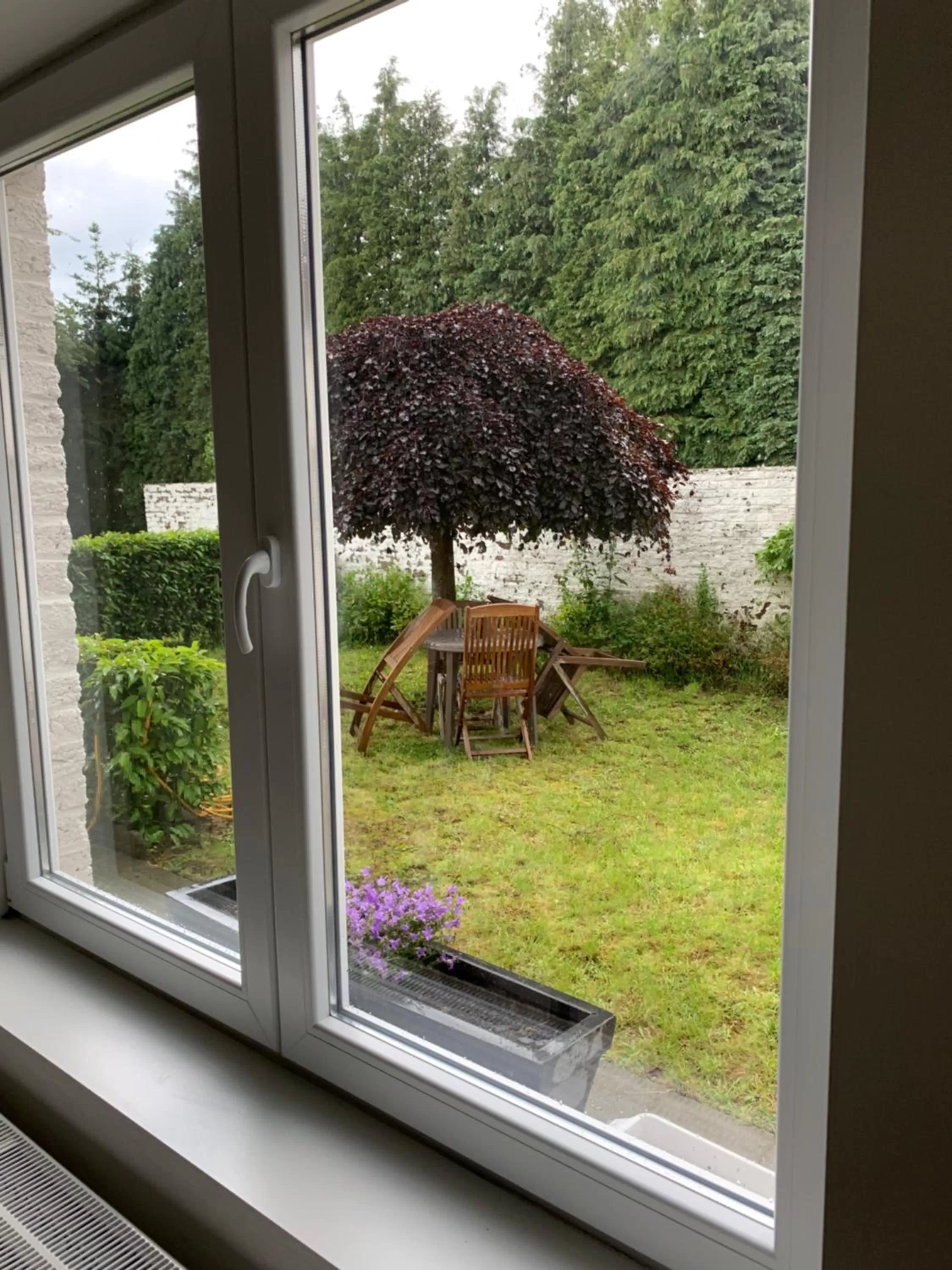 Garden view in Carpe Diem