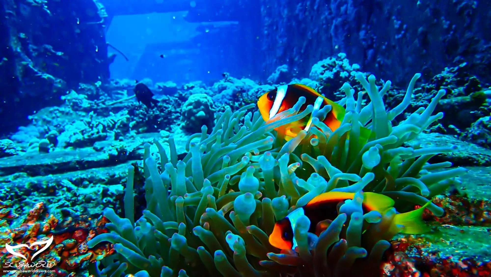 Activities in Movenpick Waterpark Resort & Spa Soma Bay