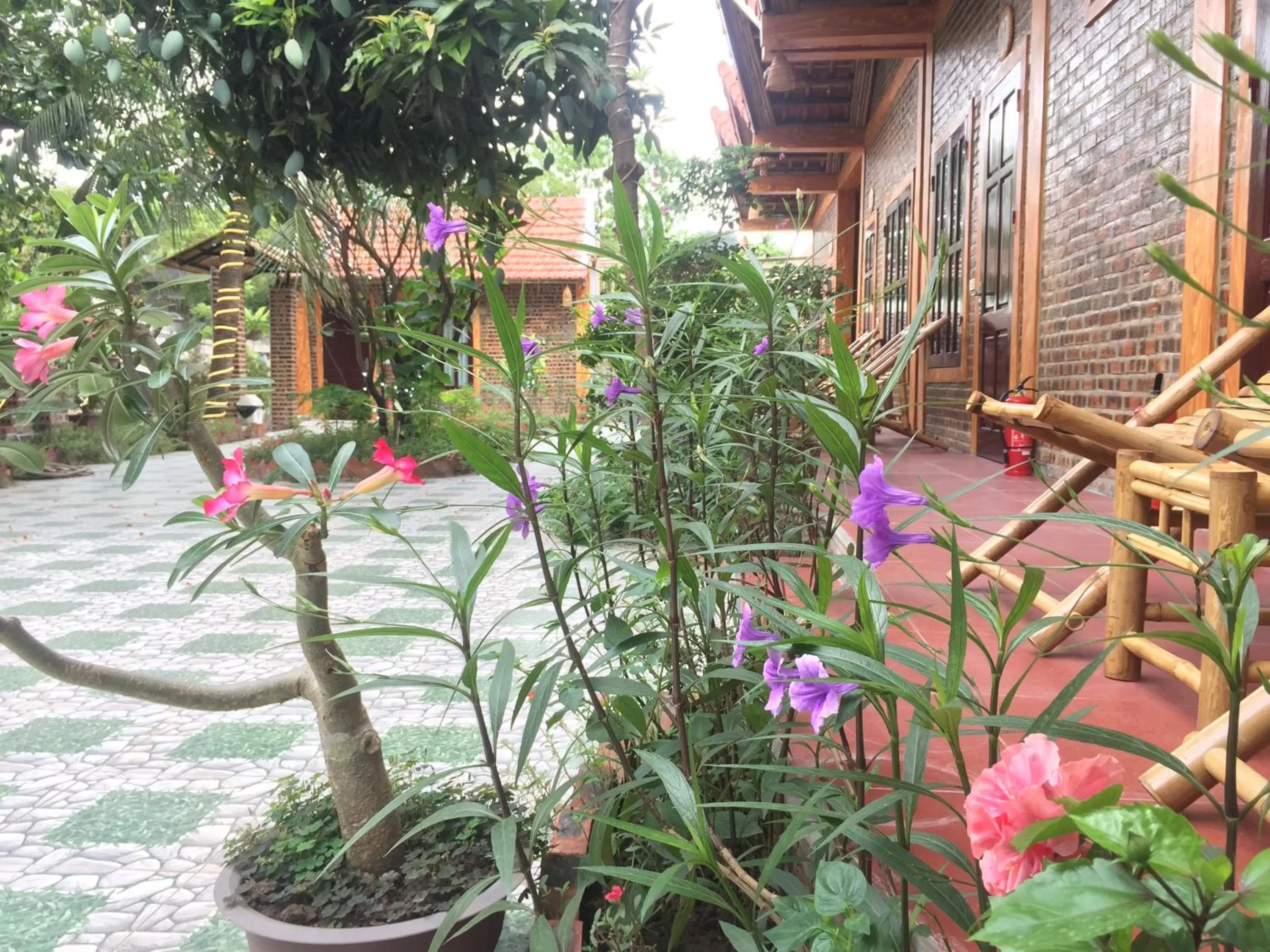 Property building in Tam Coc Vinh Thinh Homestay