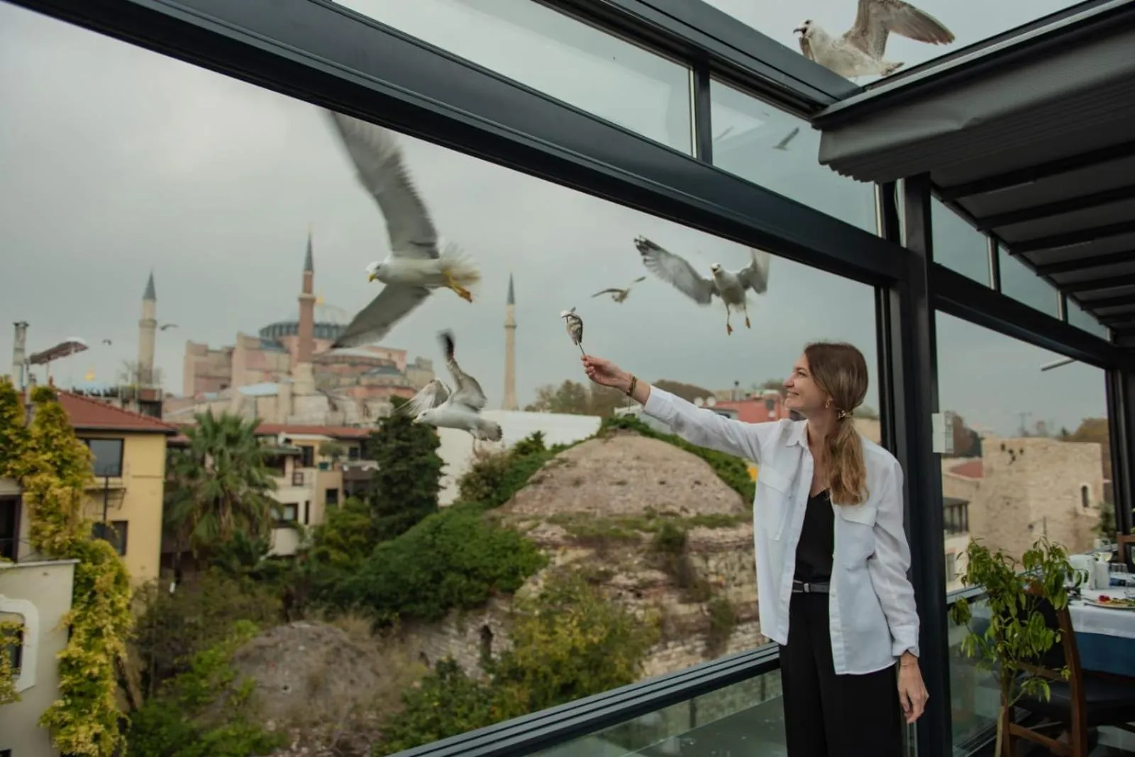 Property building in Villa Sofia