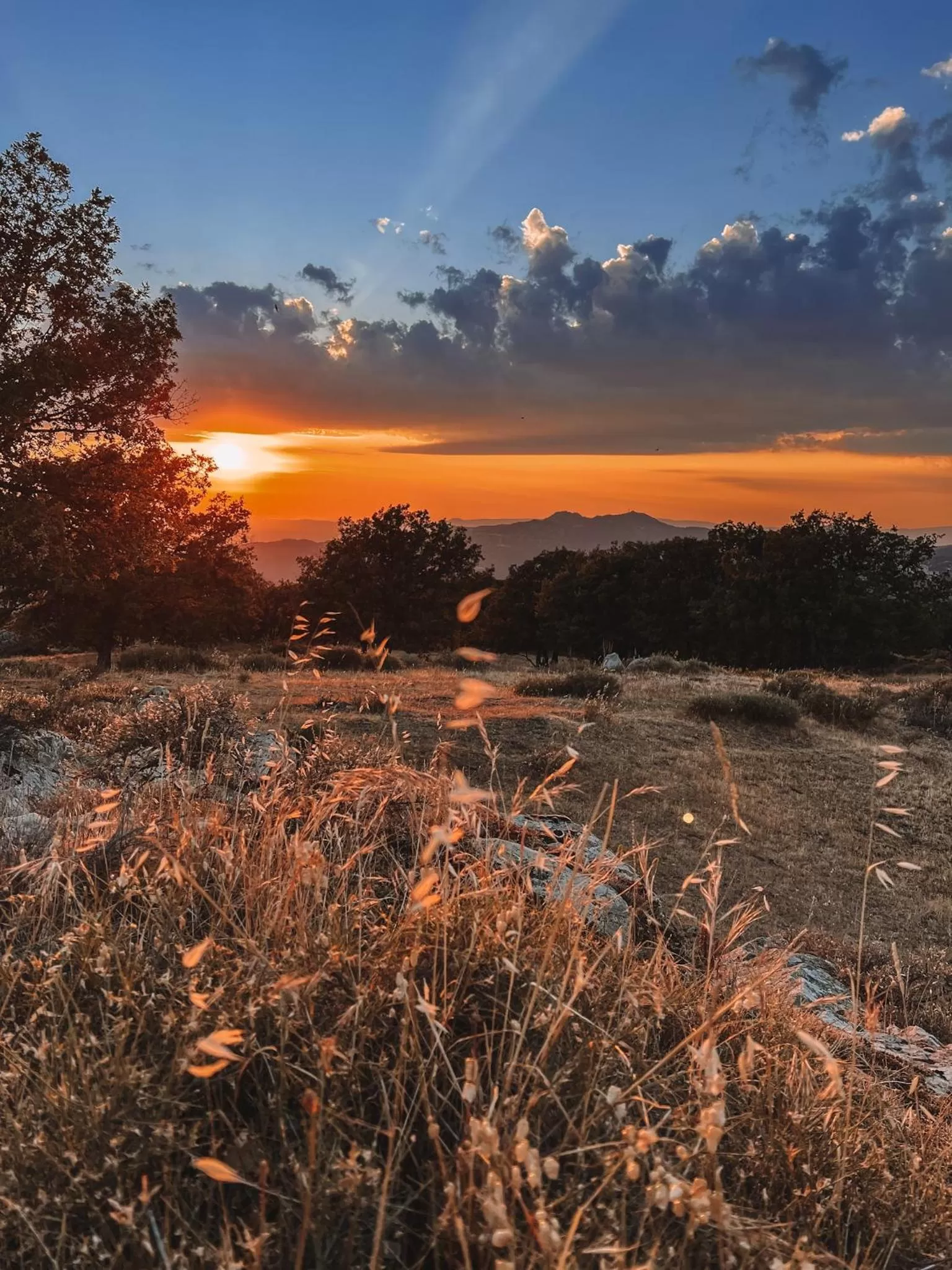 Natural landscape in Casa Masini