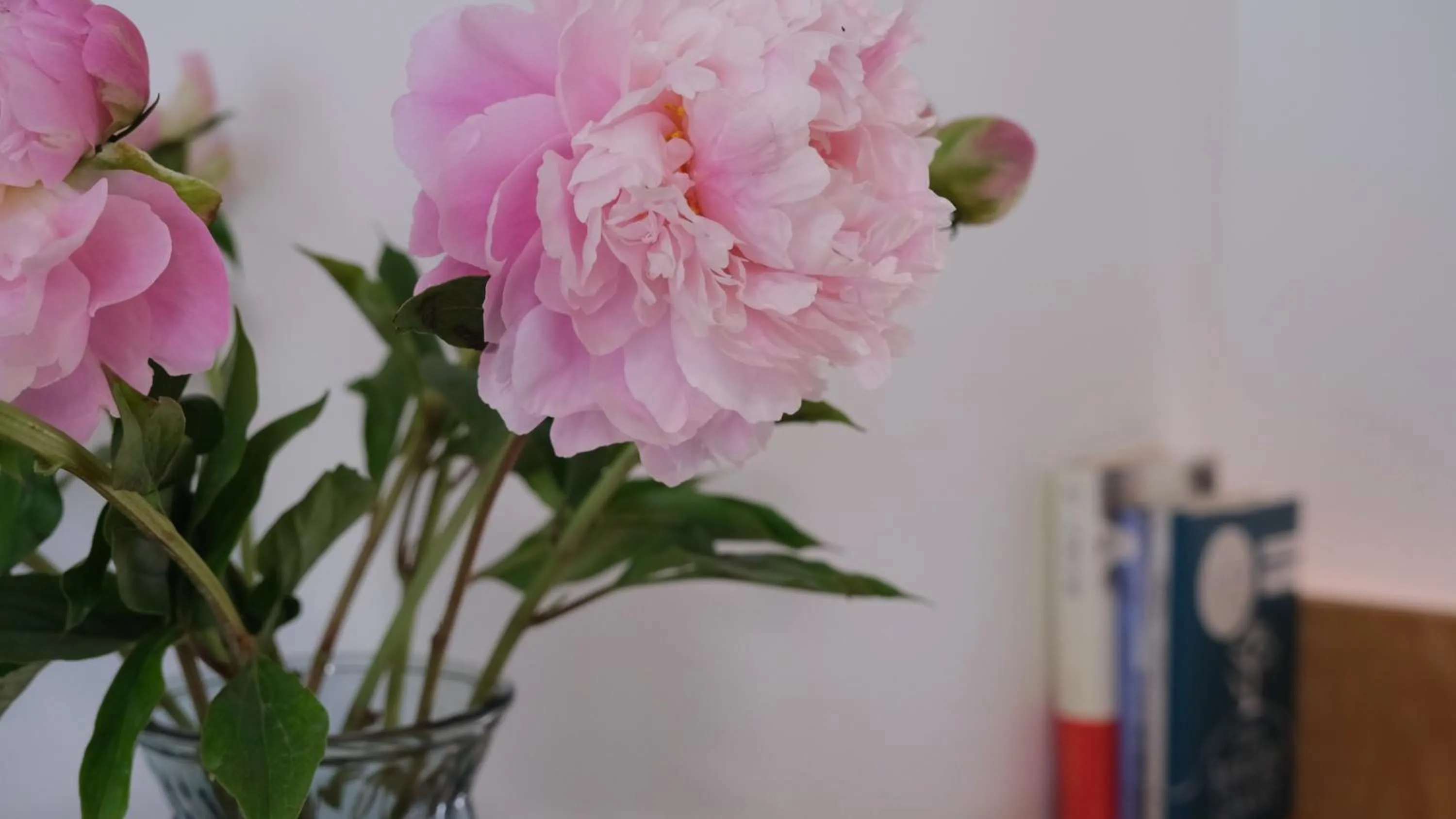 Seating area in Rock&Wood Cozy House