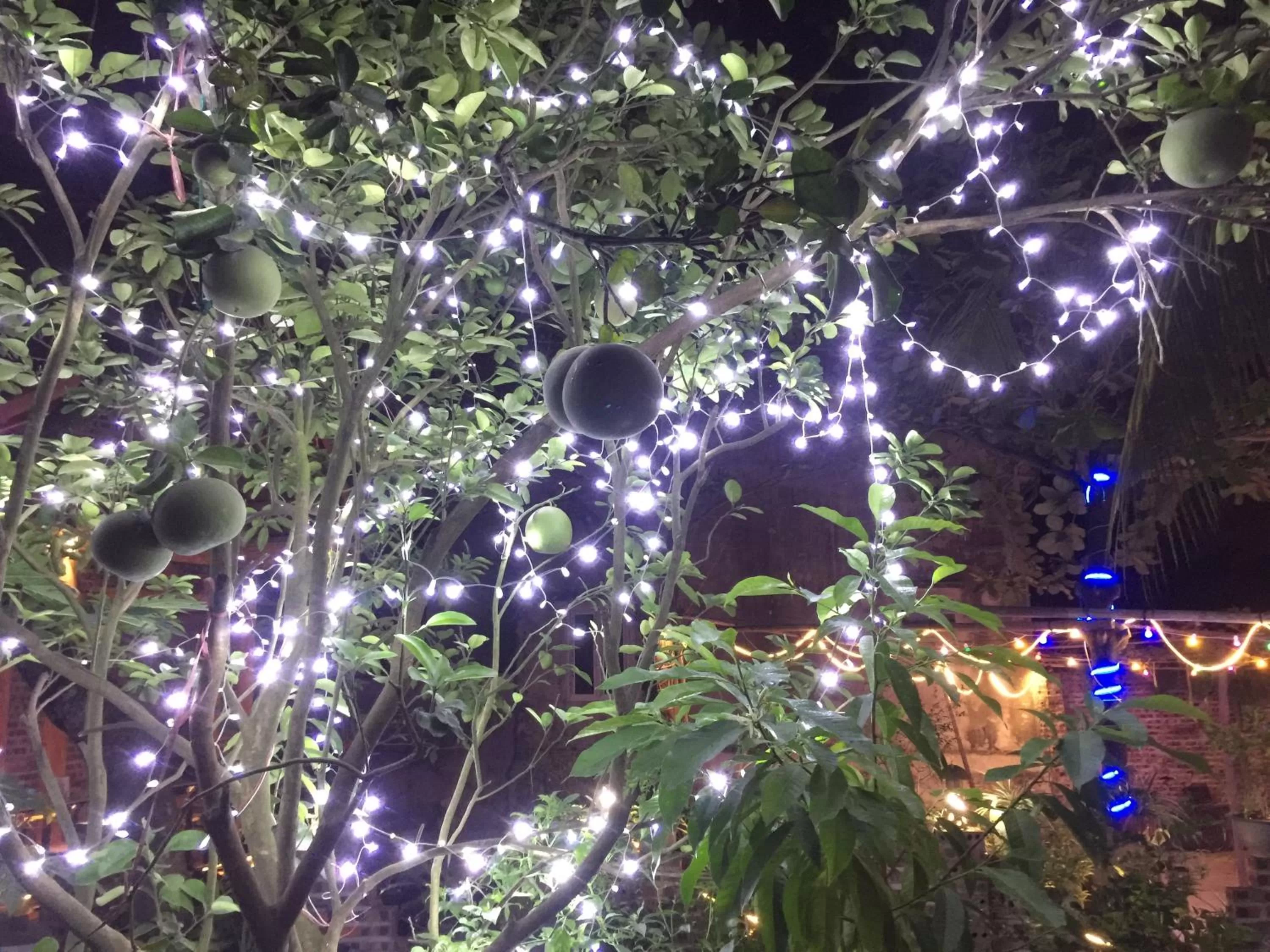 Night in Tam Coc Vinh Thinh Homestay