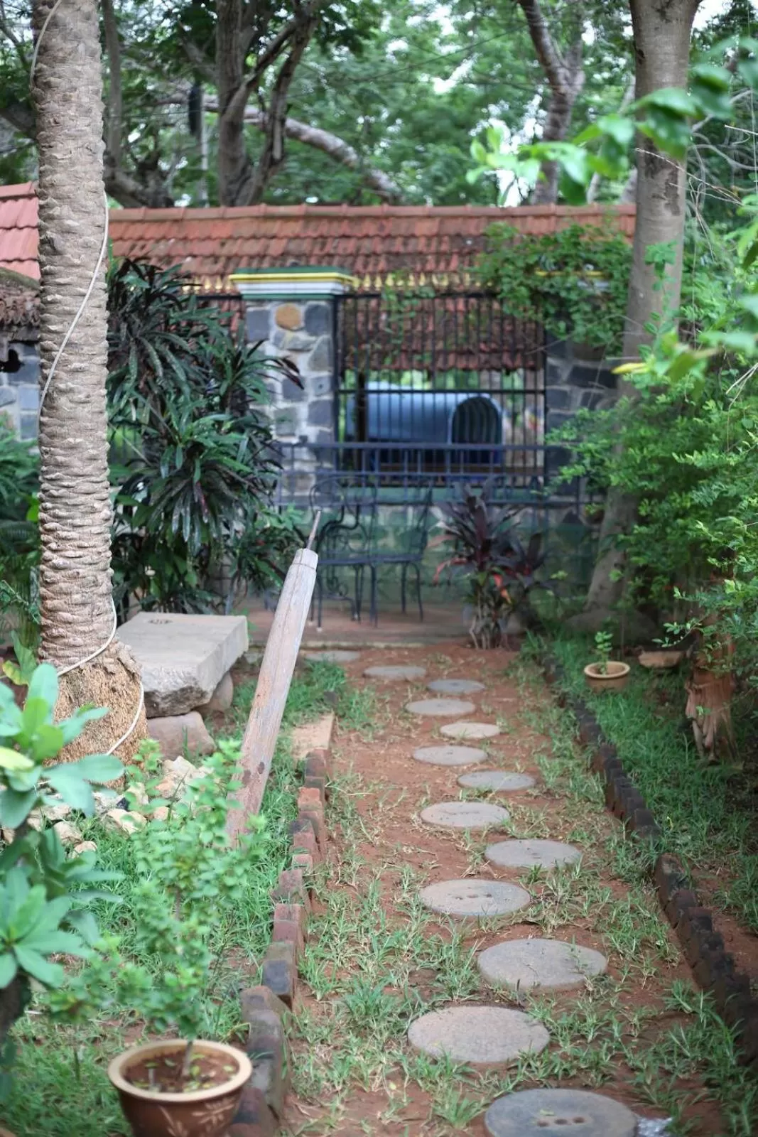 Garden in Green's Guest House