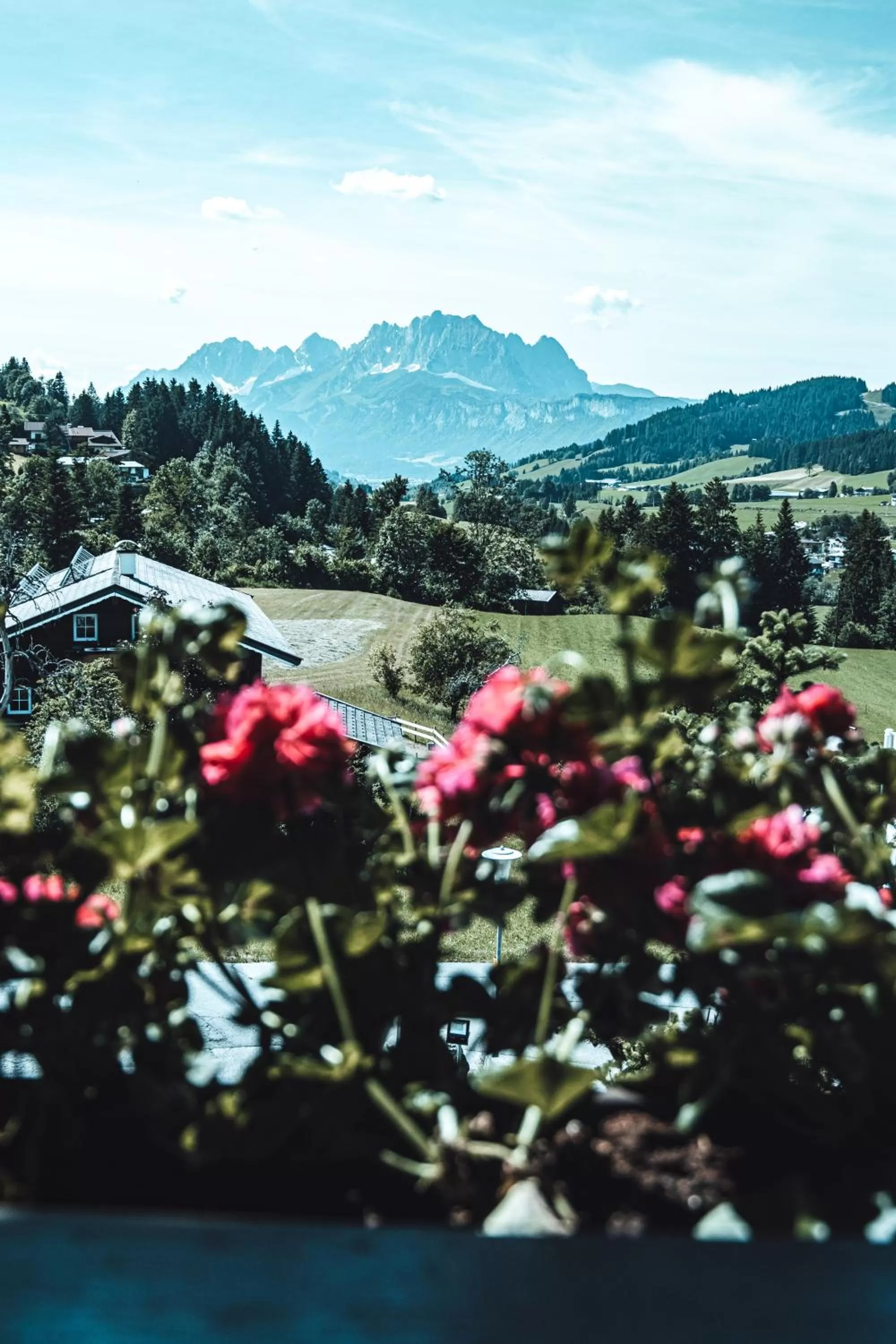 Natural landscape in Farm Hotel Chalet Grosslehen