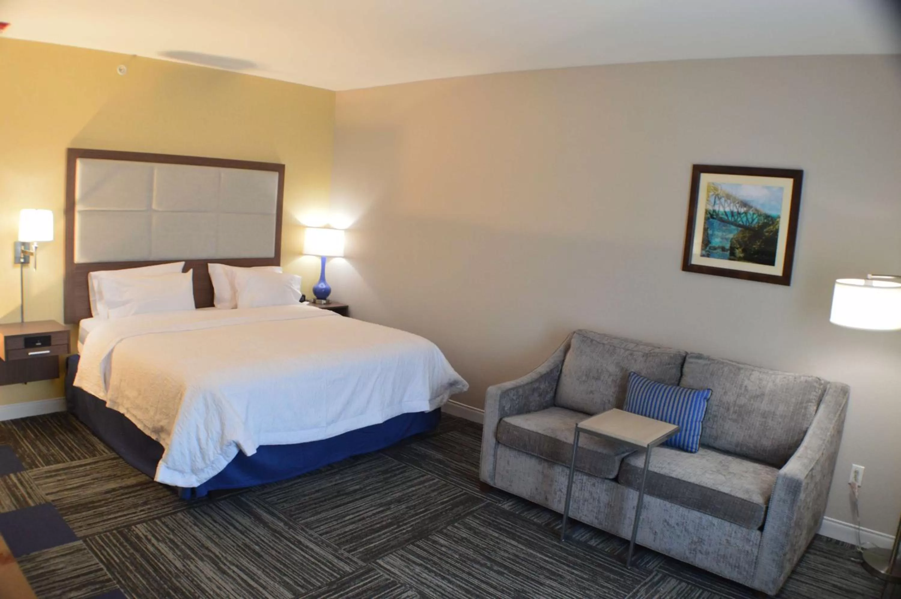King Room - Hearing Accessible/Non-Smoking  in Hampton Inn Lockport - Buffalo, NY