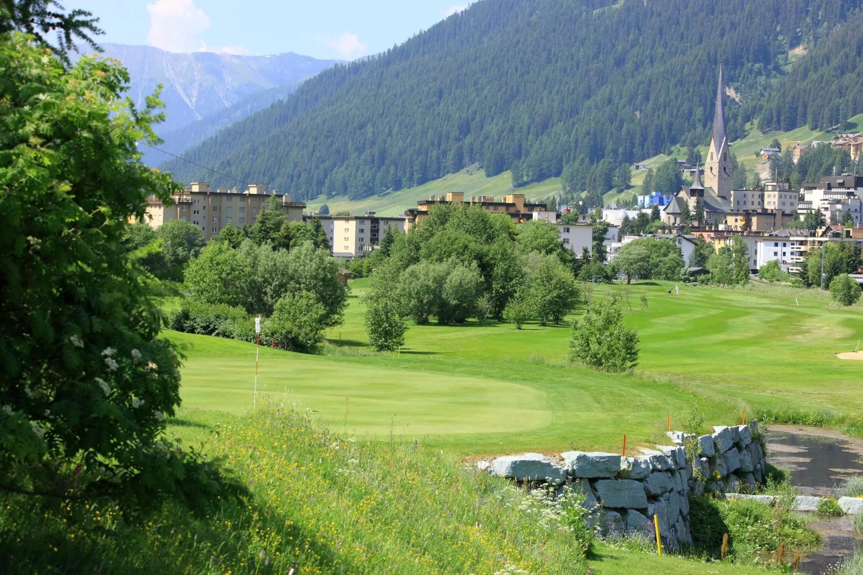 Natural landscape in Hotel Bünda Davos